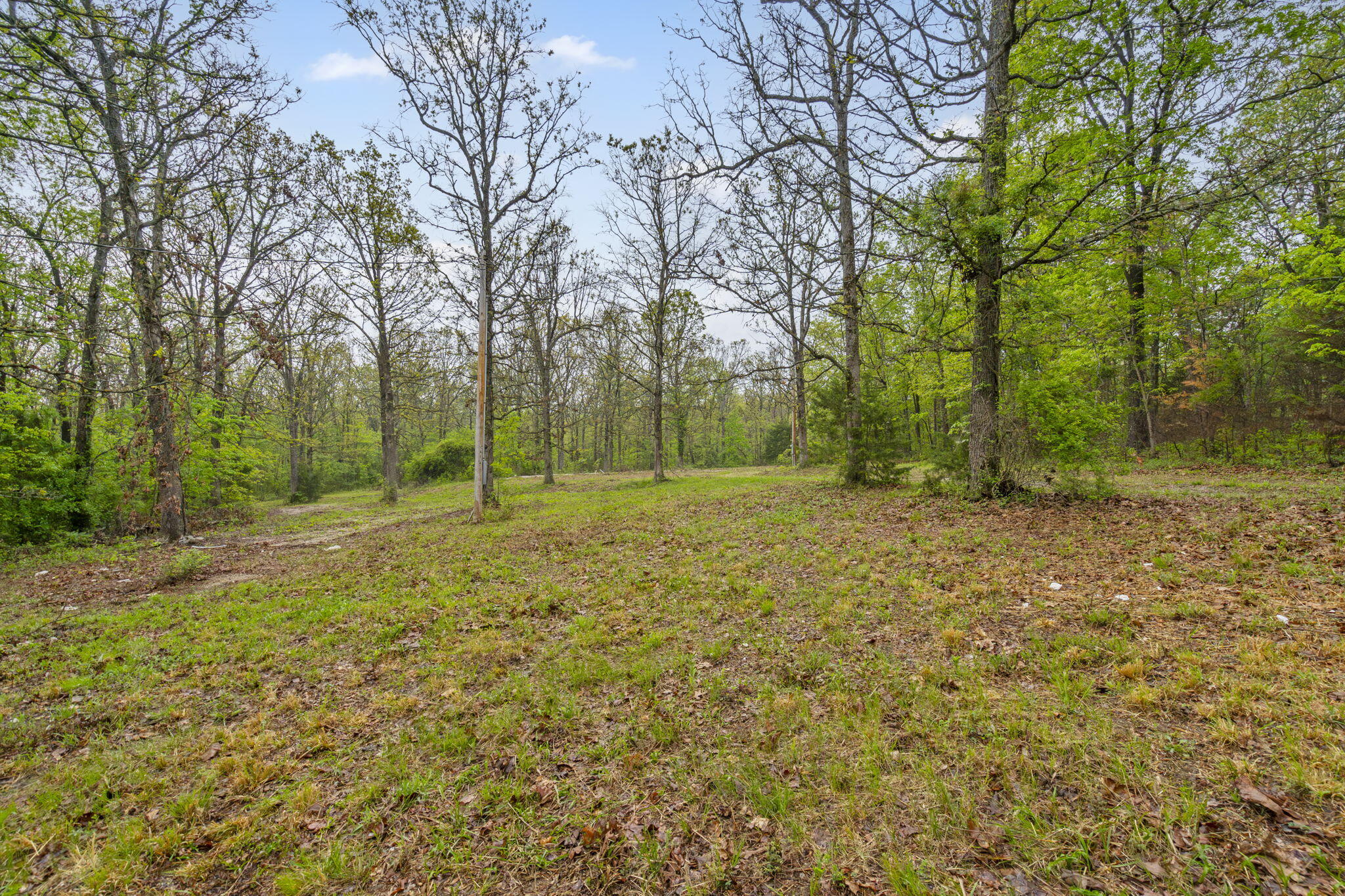 property viewer photo 5