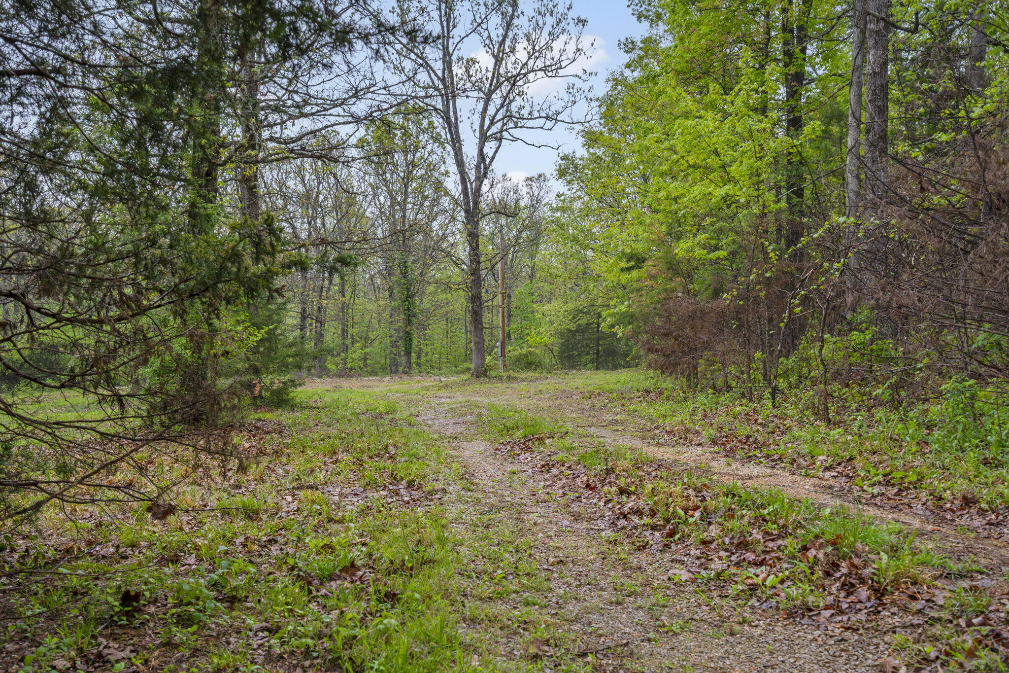 property viewer photo 6