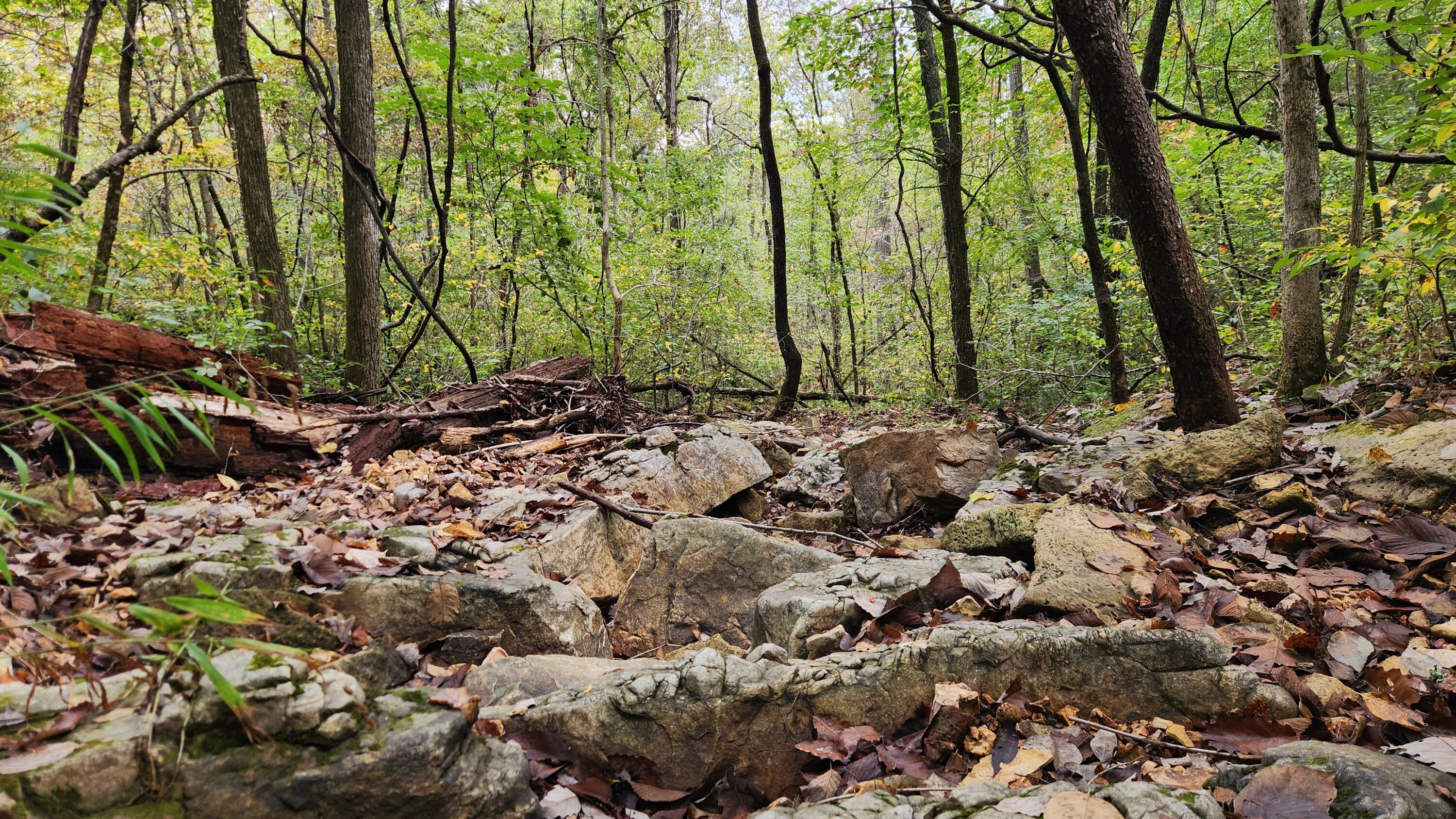 main property photo 84