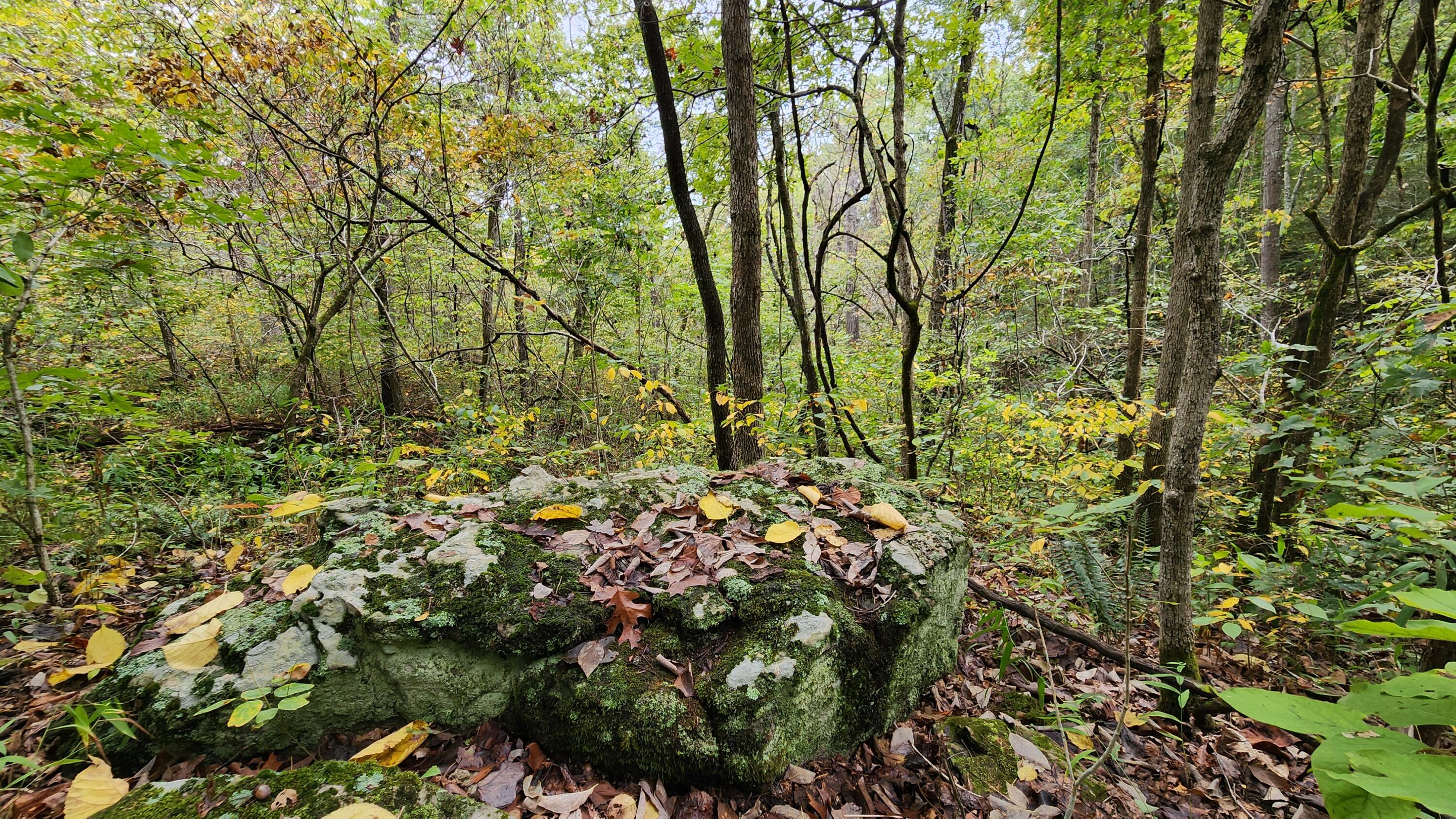 main property photo 85