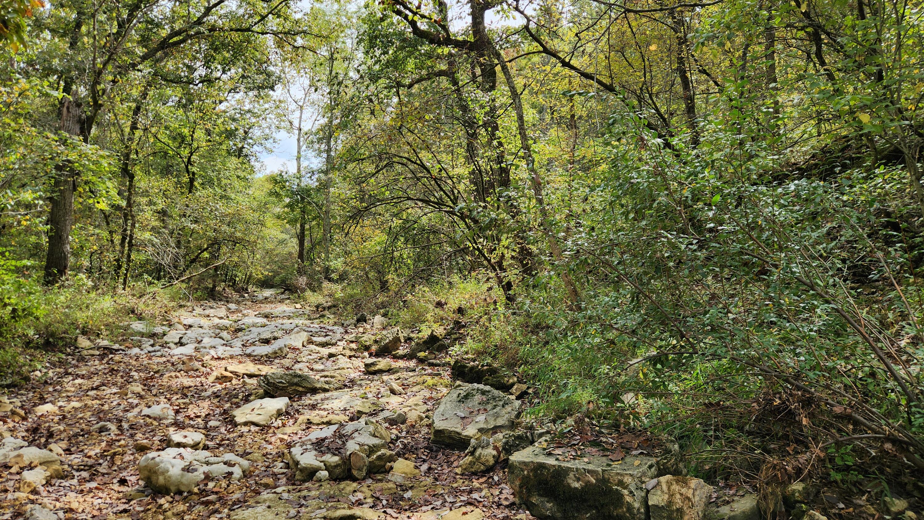 main property photo 90