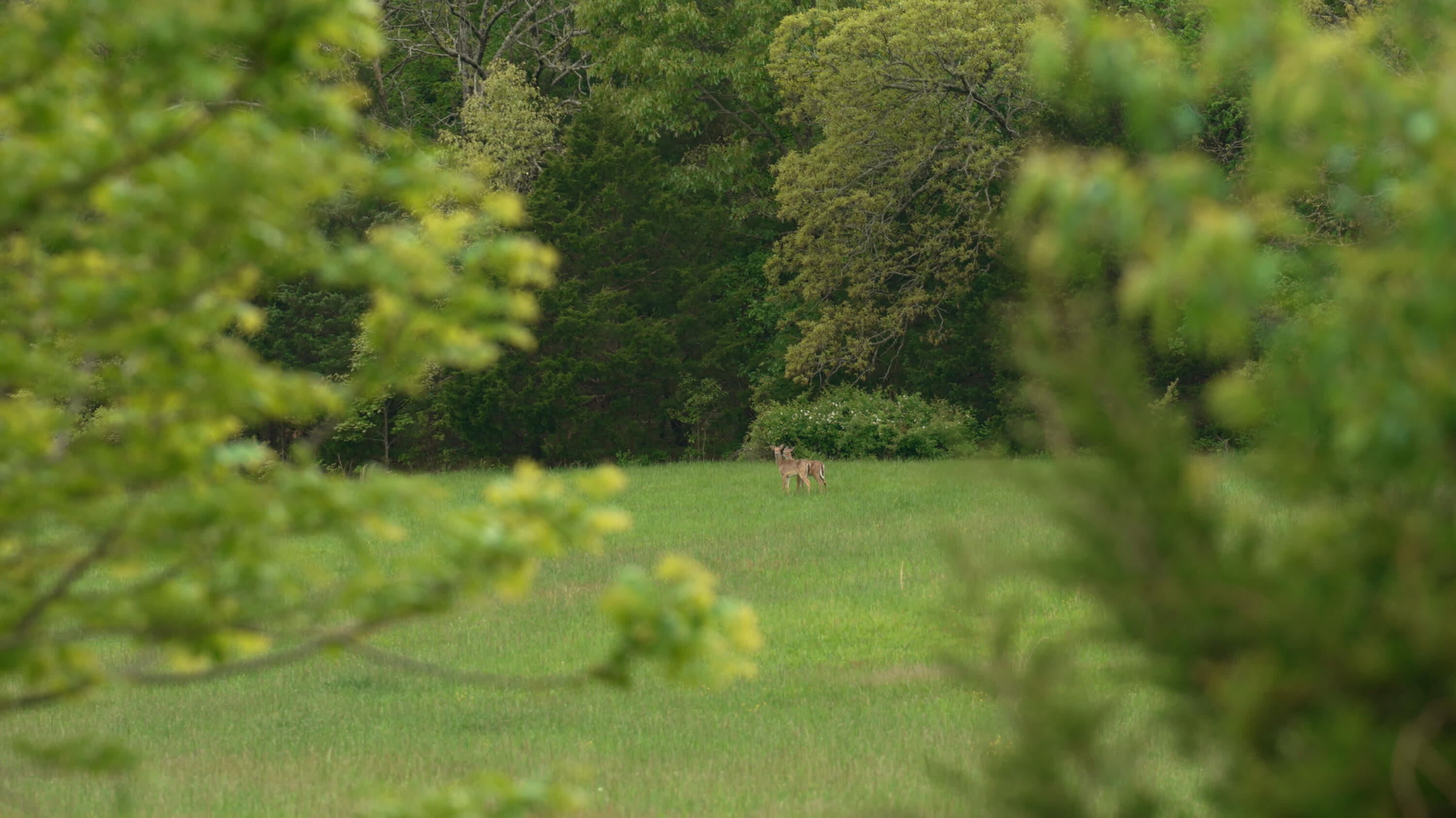 property viewer photo 10