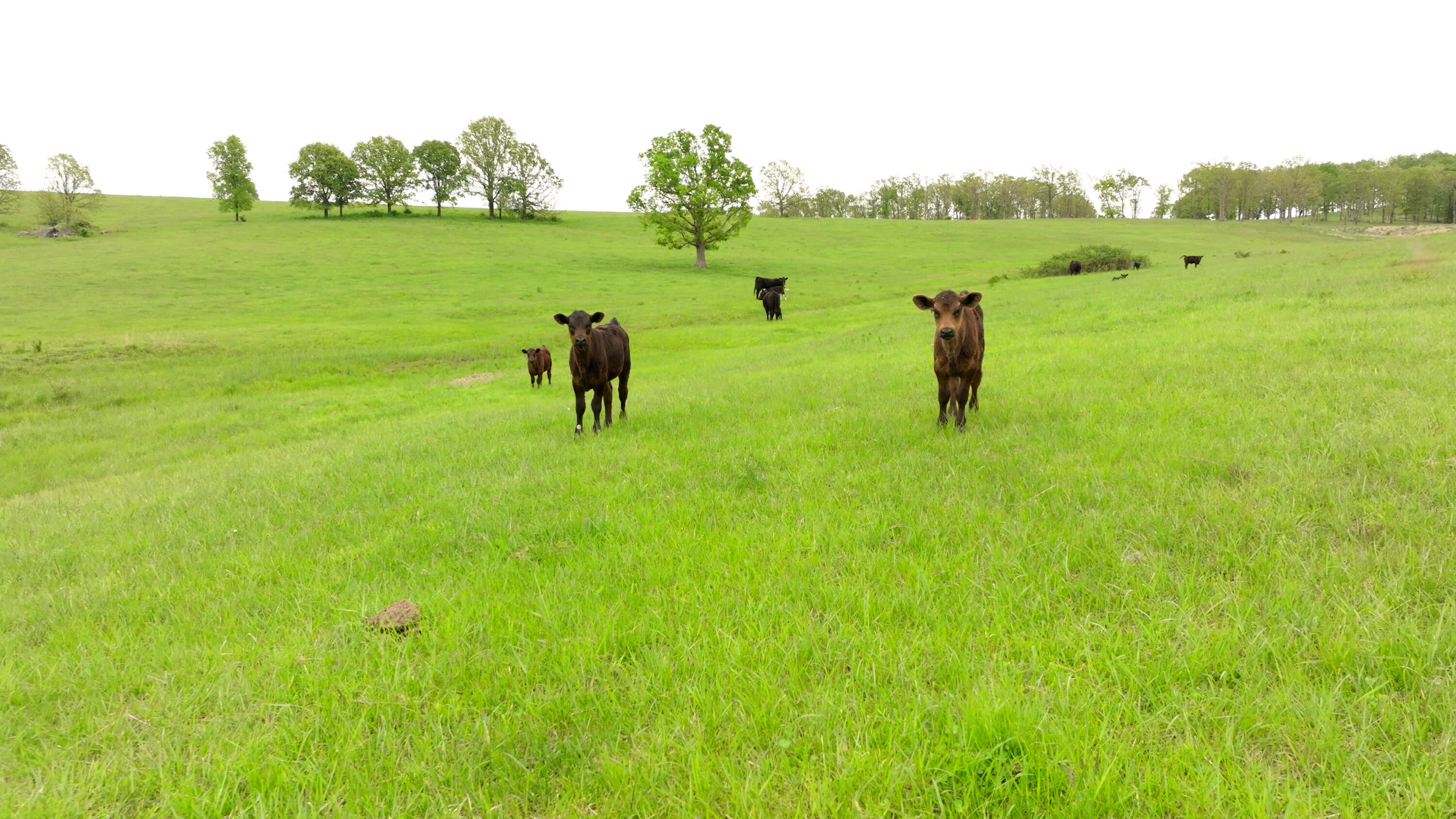property viewer photo 12