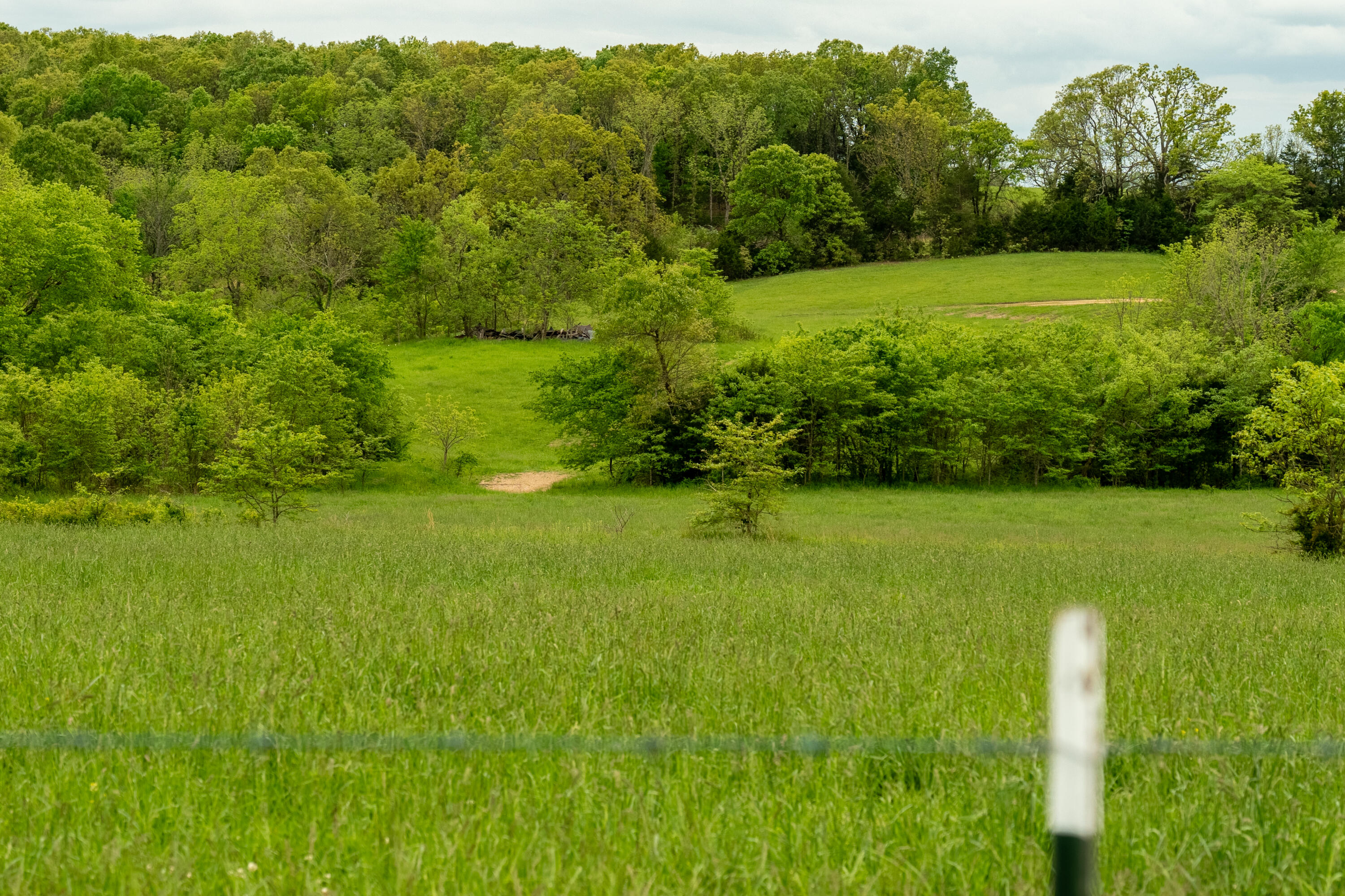 property viewer photo 14
