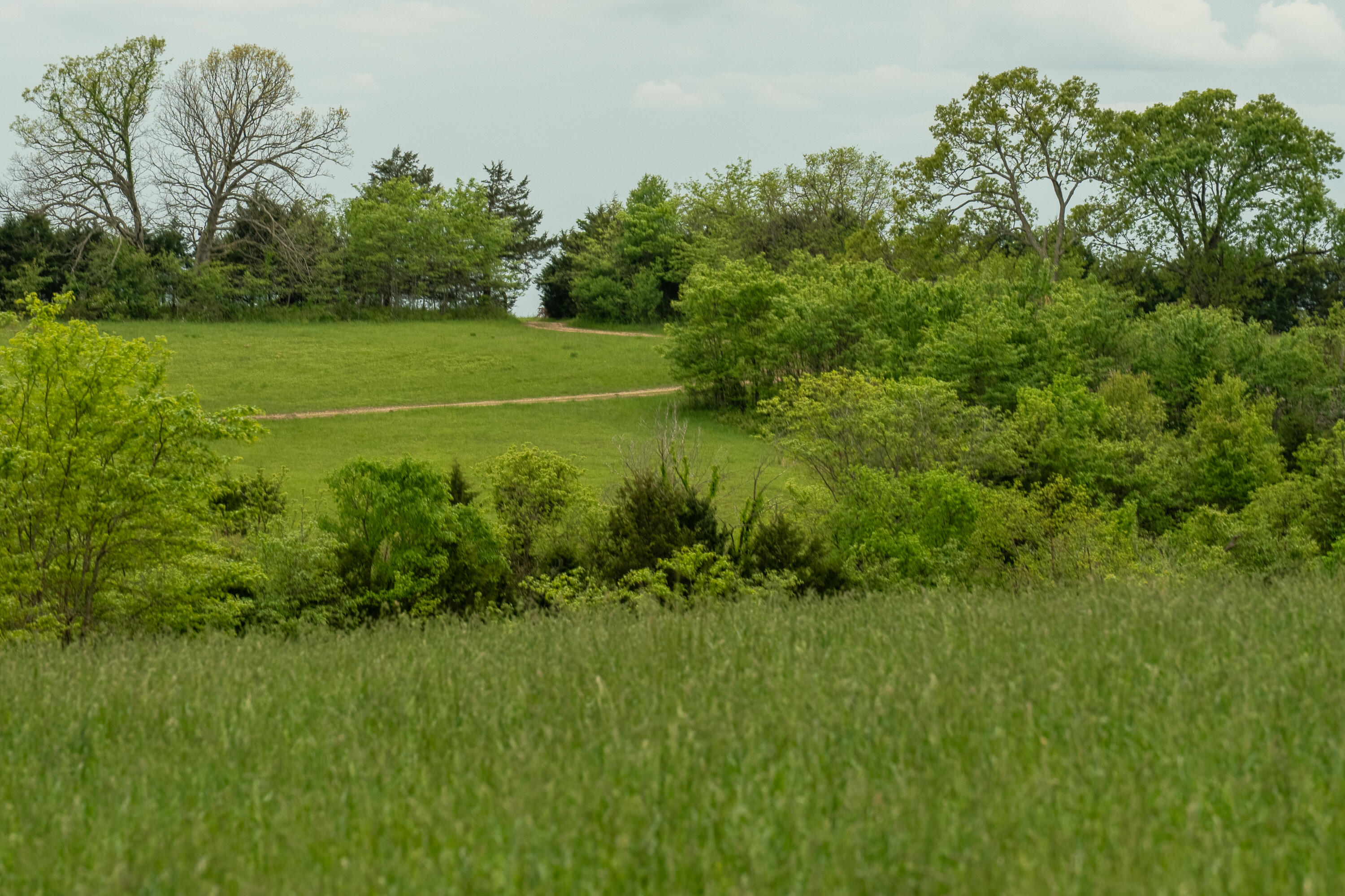 property viewer photo 15