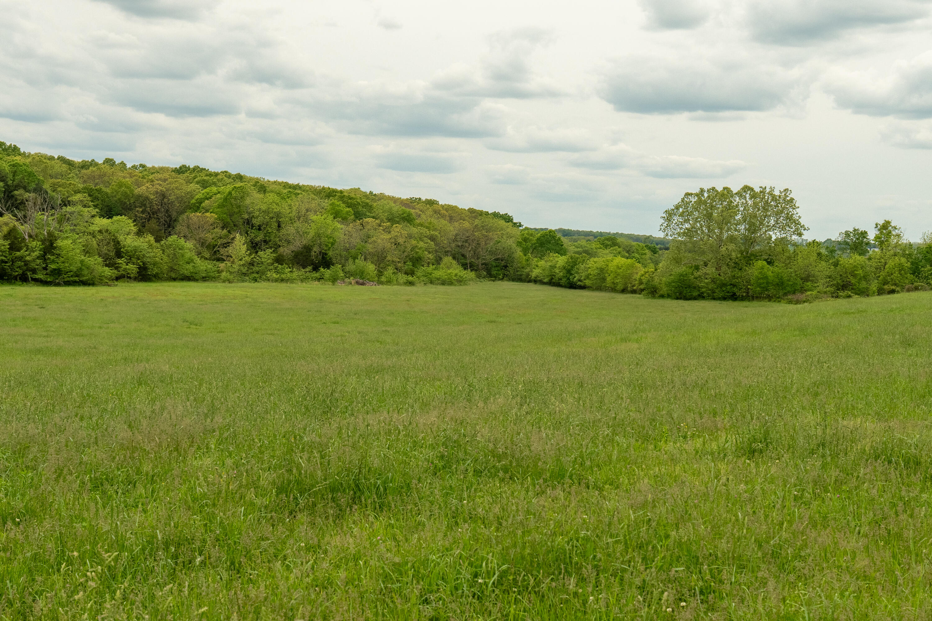 property viewer photo 16