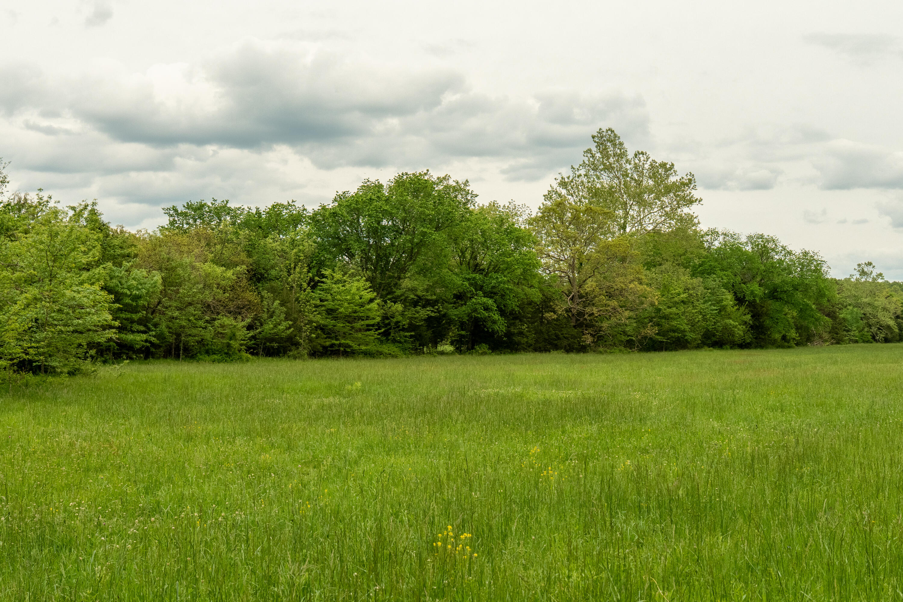 property viewer photo 17