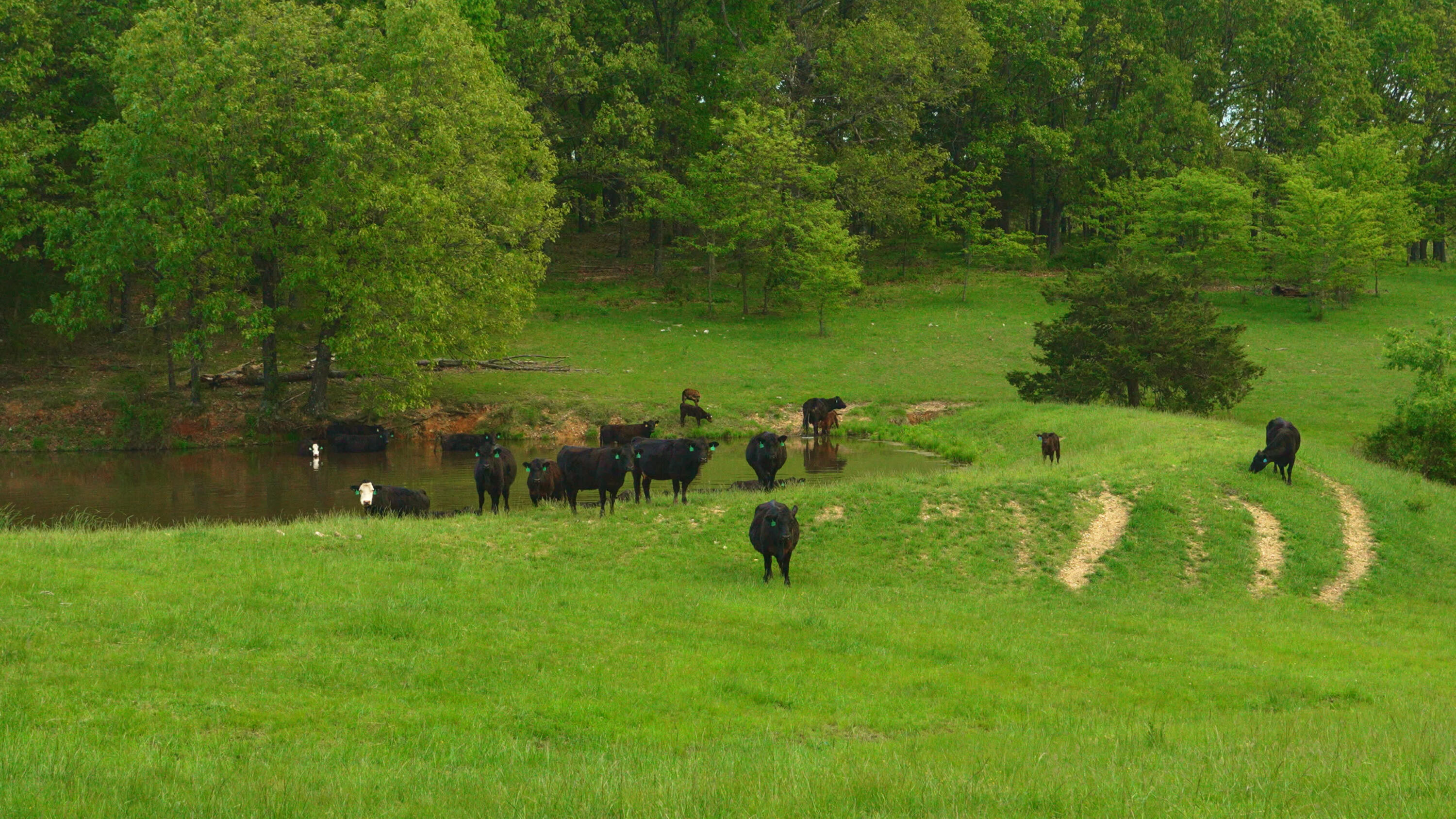 property viewer photo 2