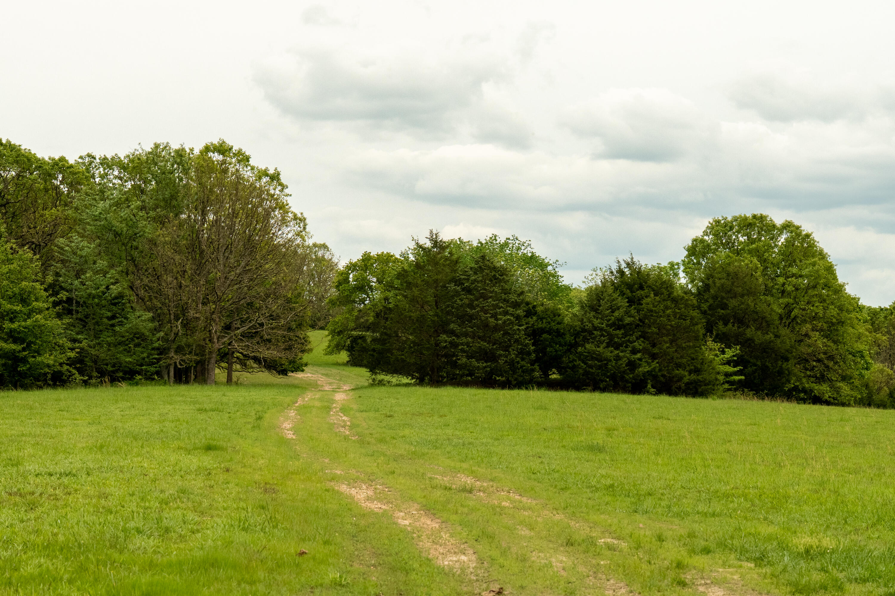 property viewer photo 21
