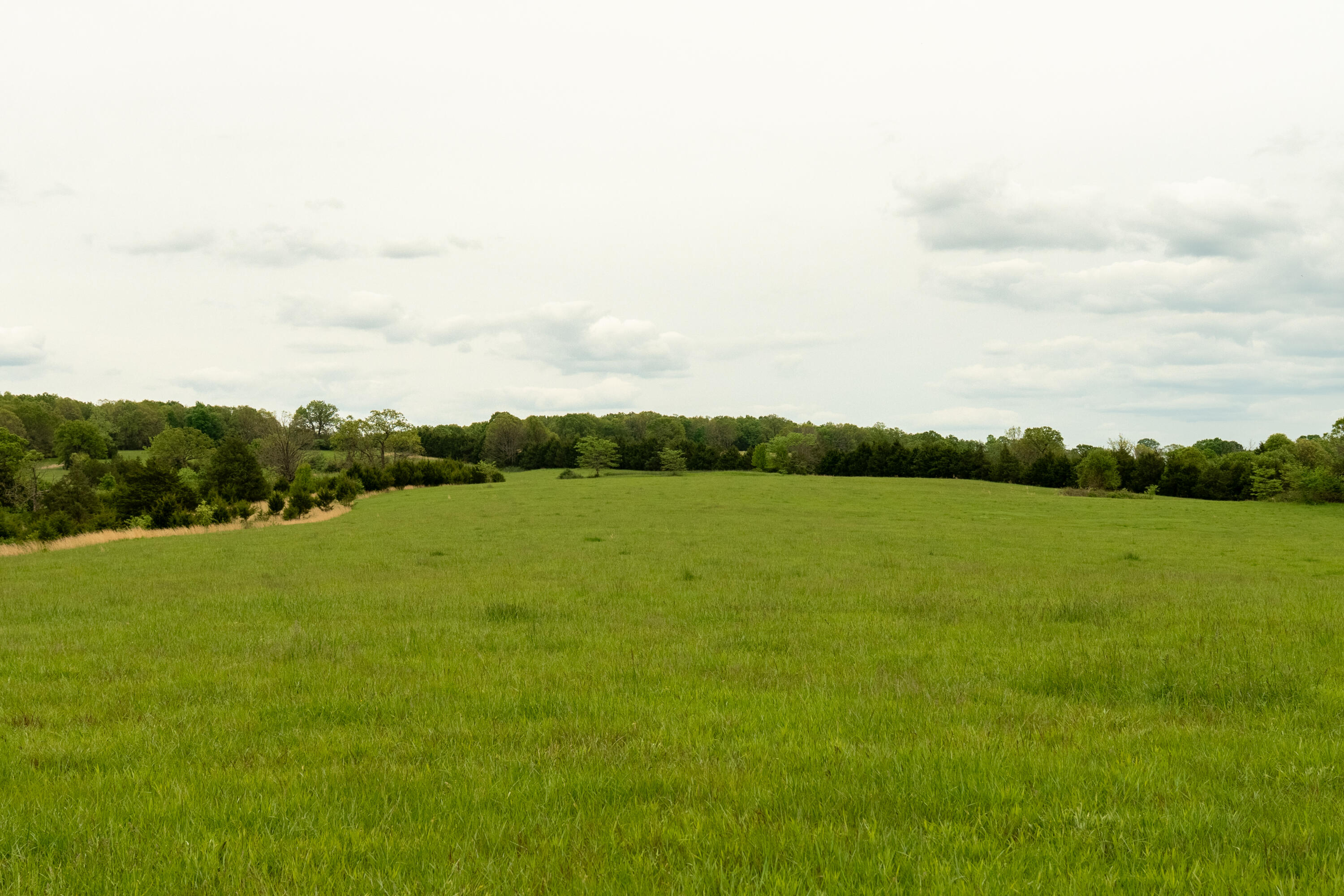 property viewer photo 22