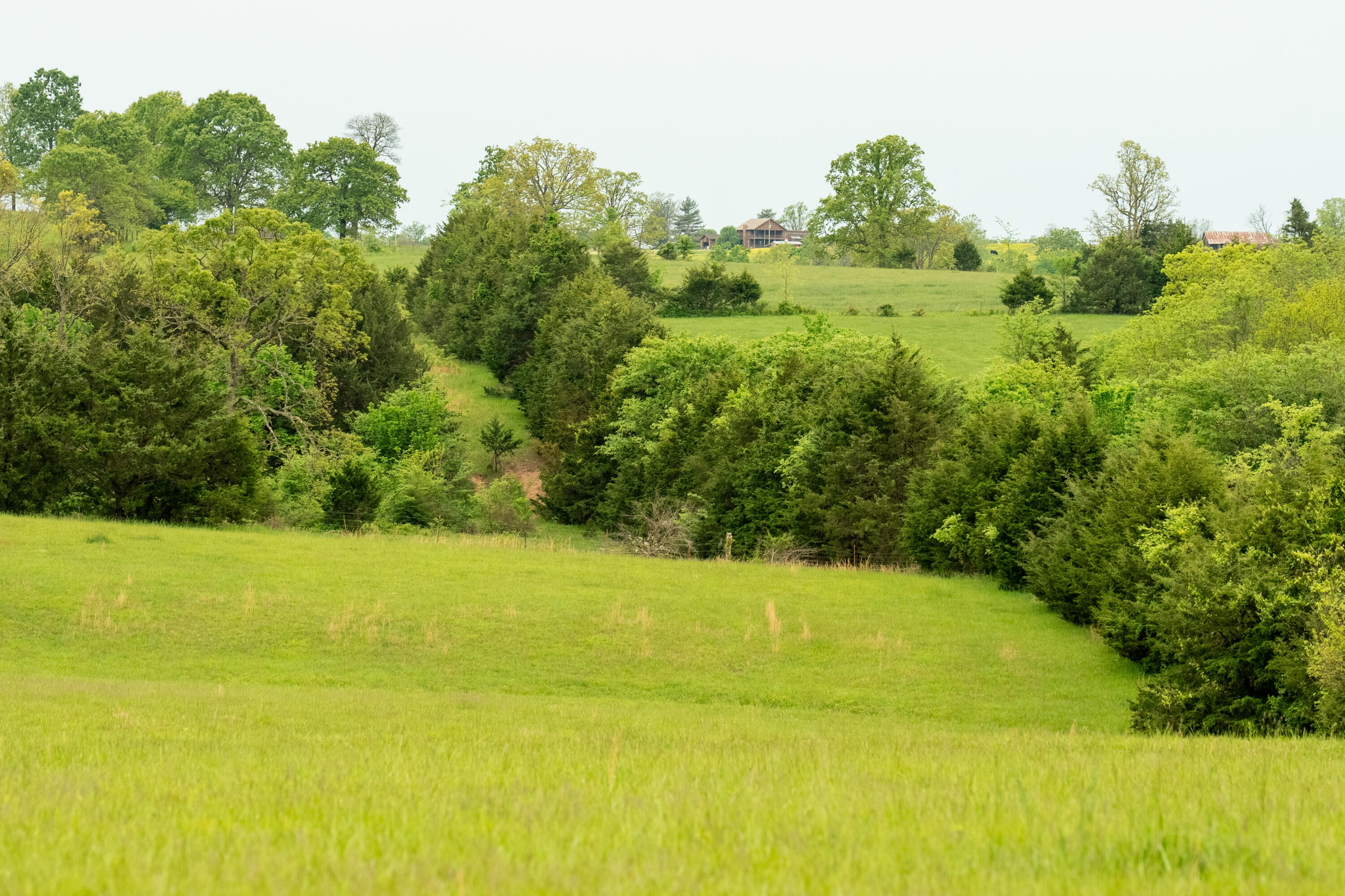 property viewer photo 23