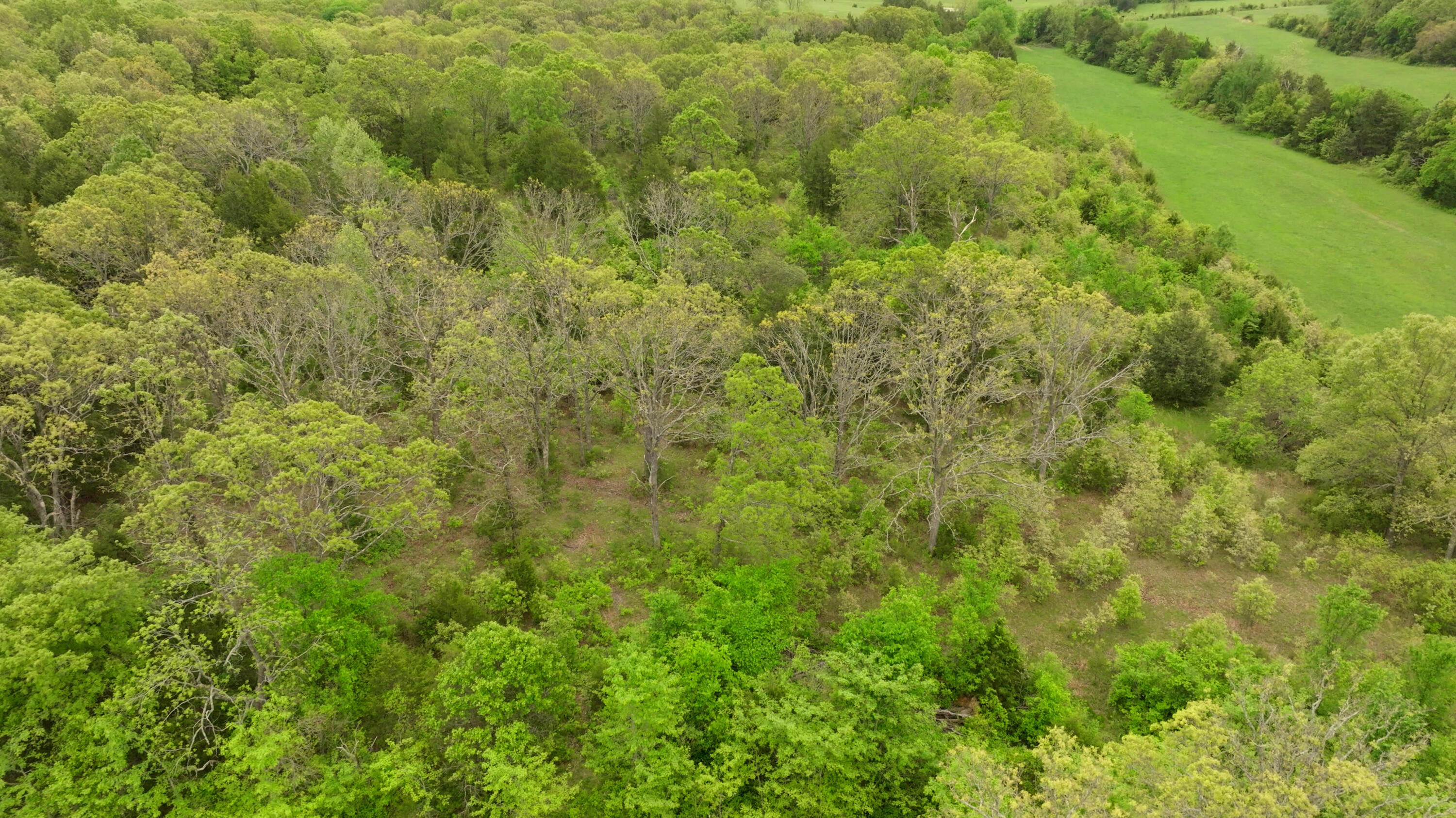 property viewer photo 24