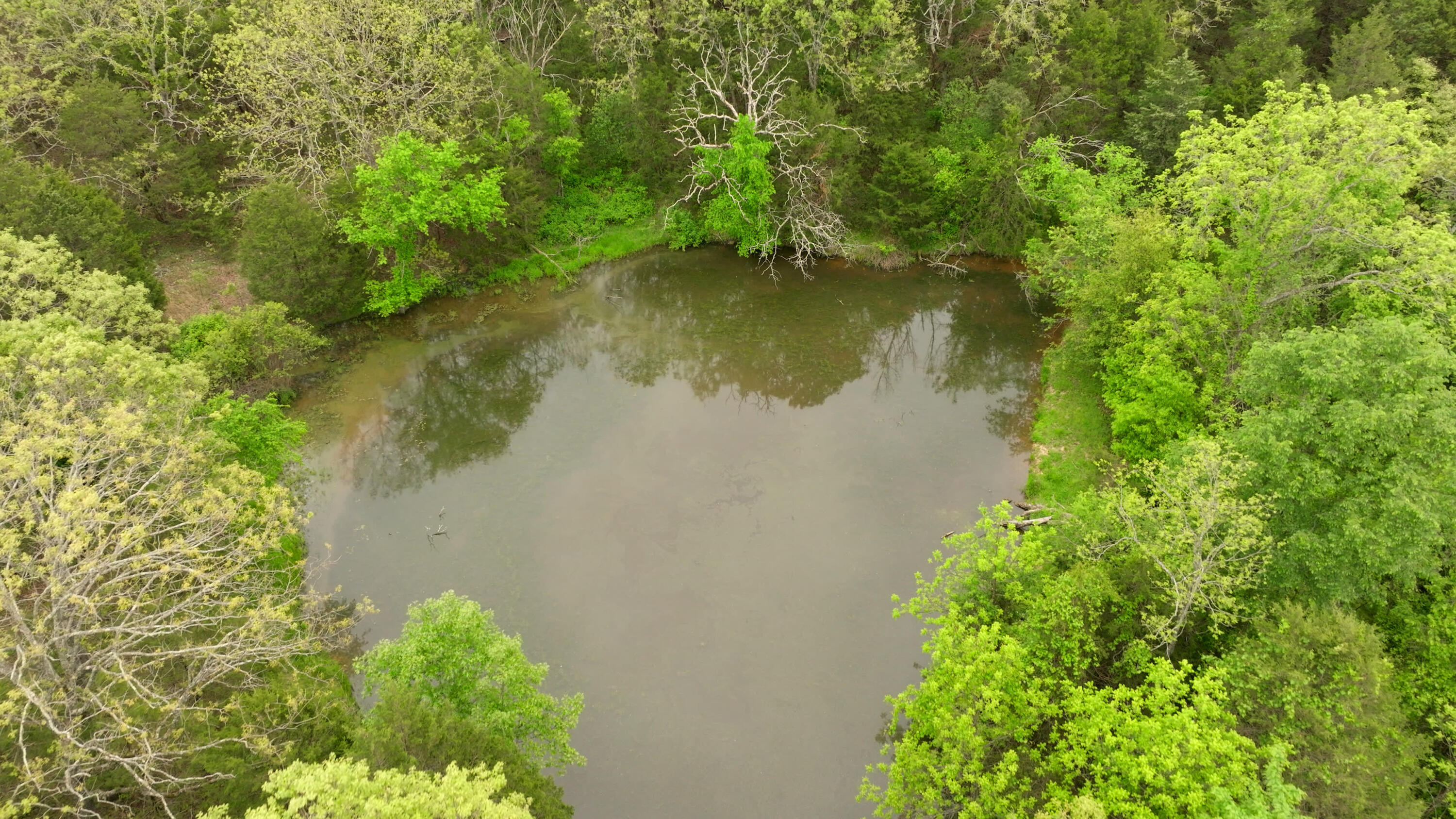 property viewer photo 27