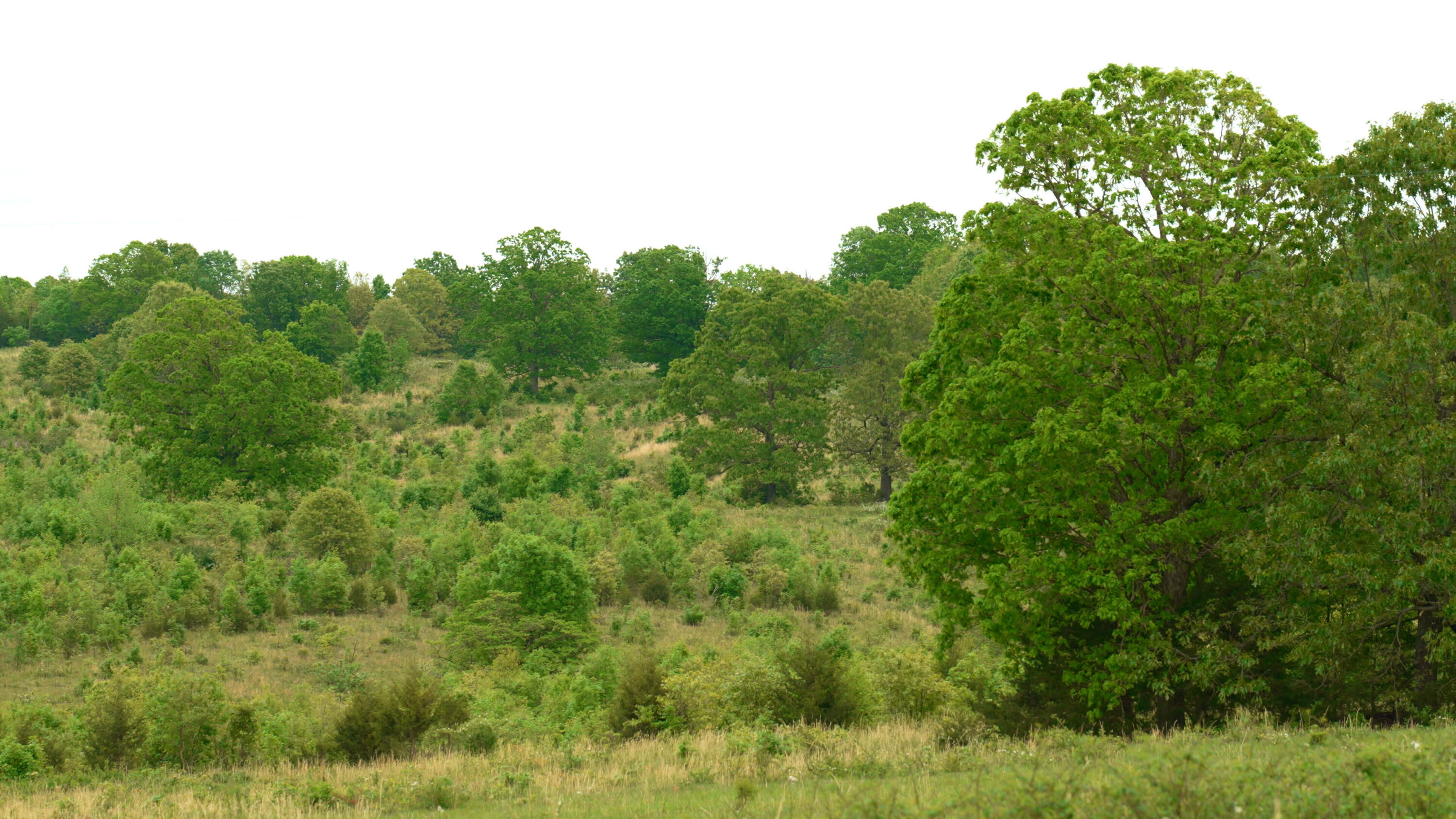 property viewer photo 28
