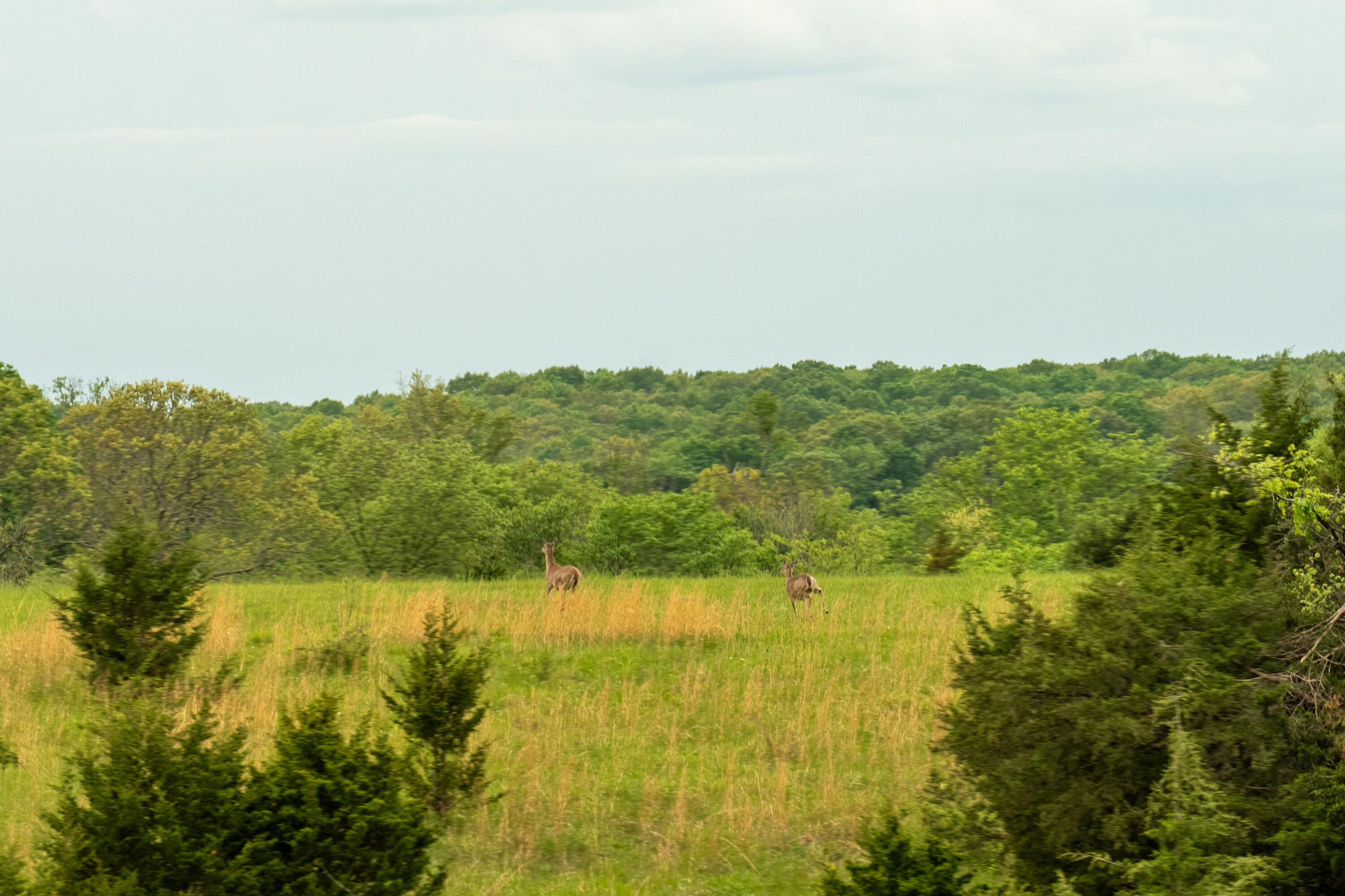 property viewer photo 29