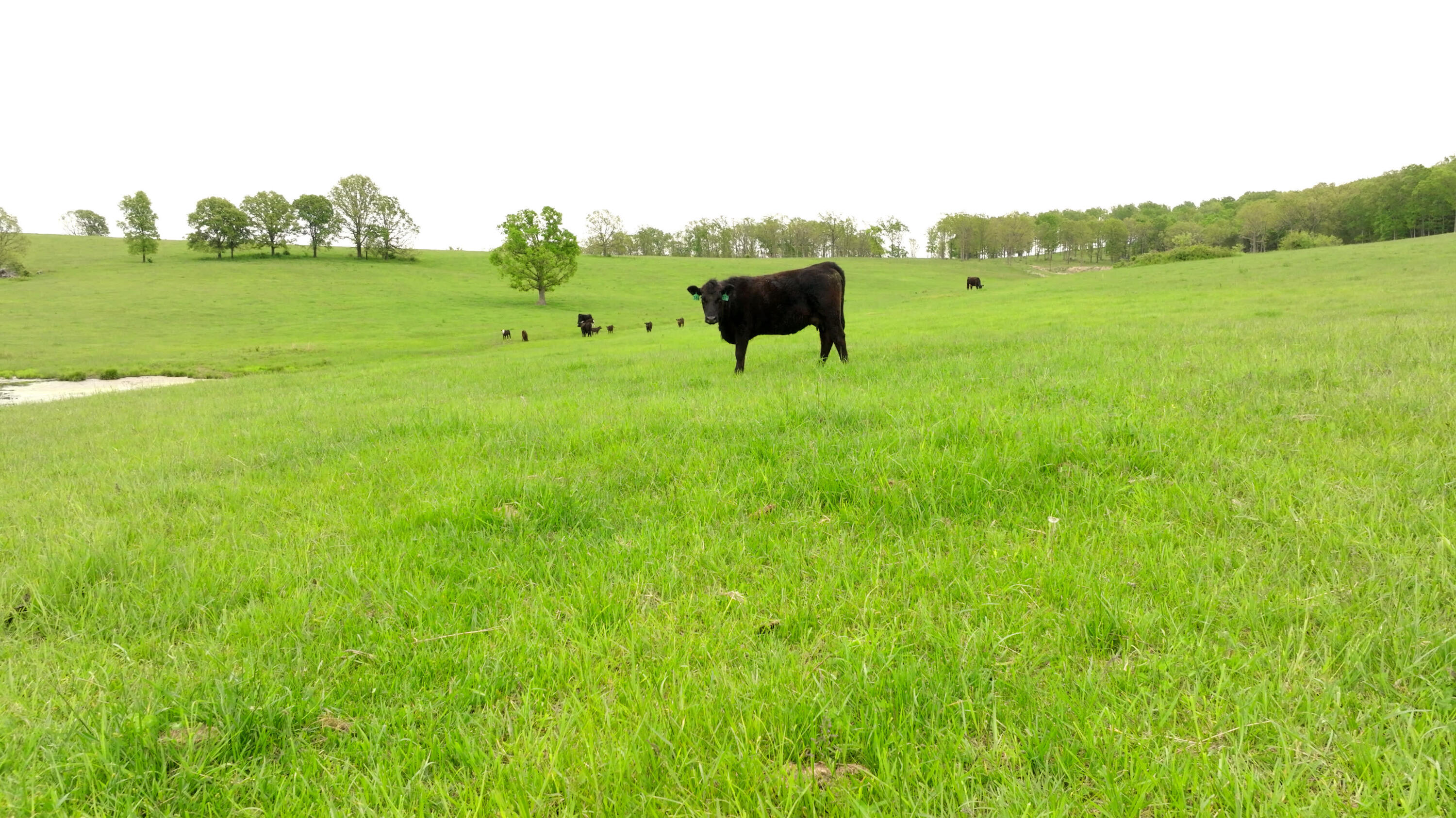 property viewer photo 3