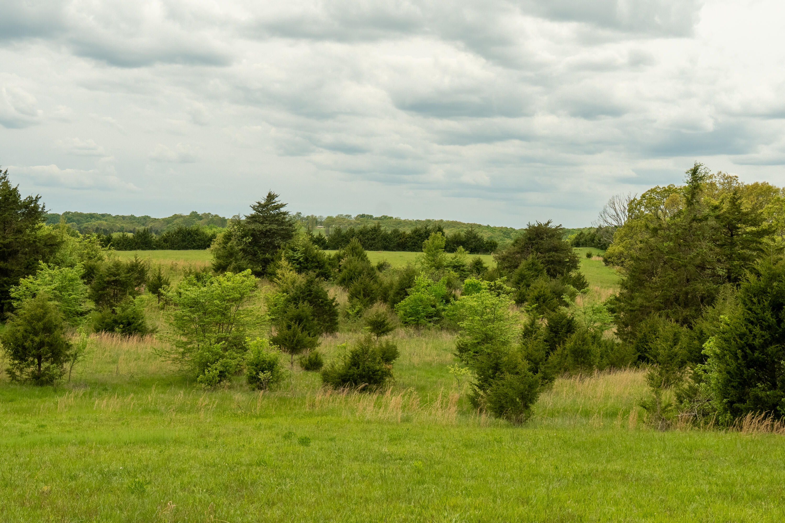 property viewer photo 30
