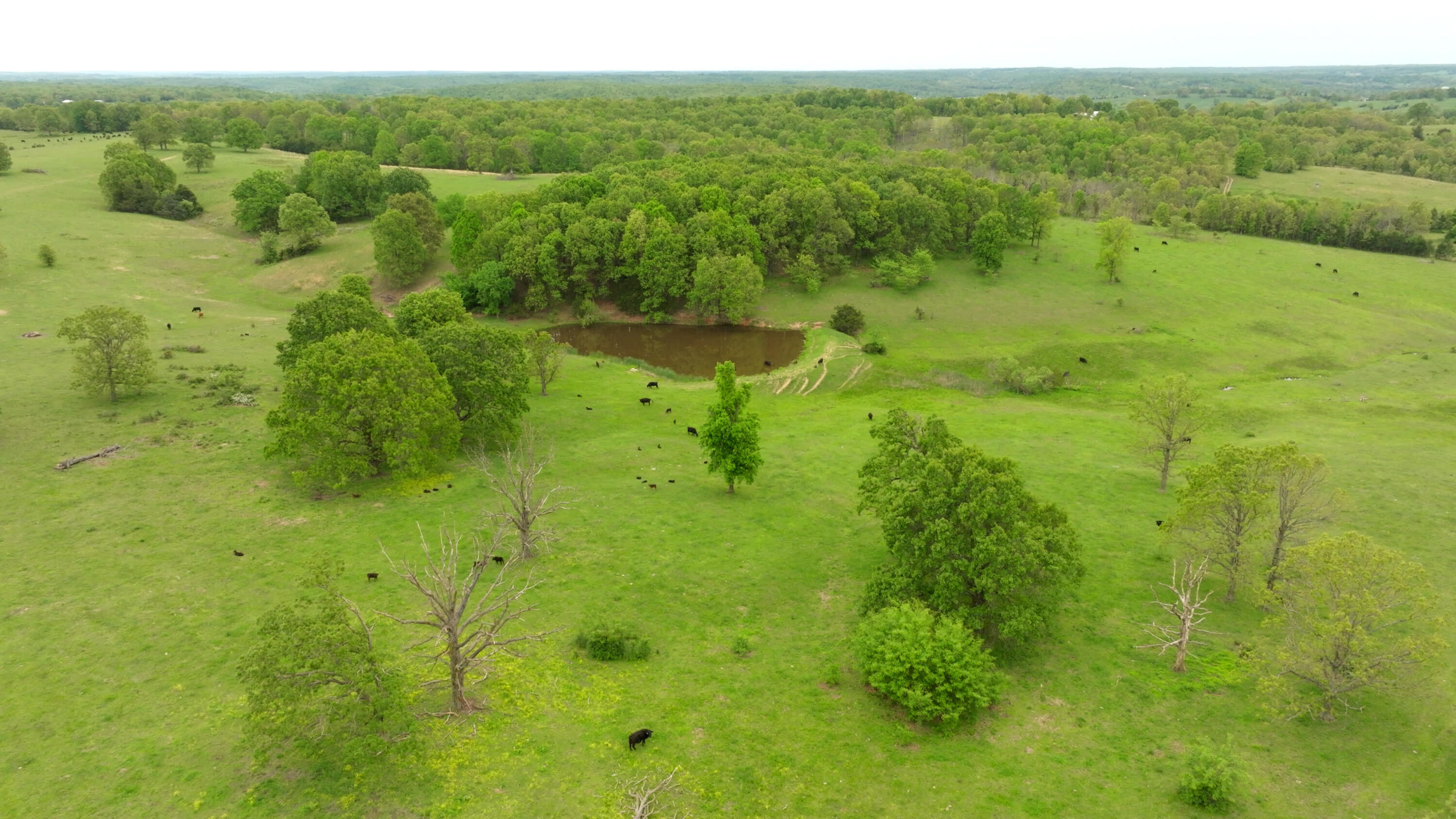 property viewer photo 33