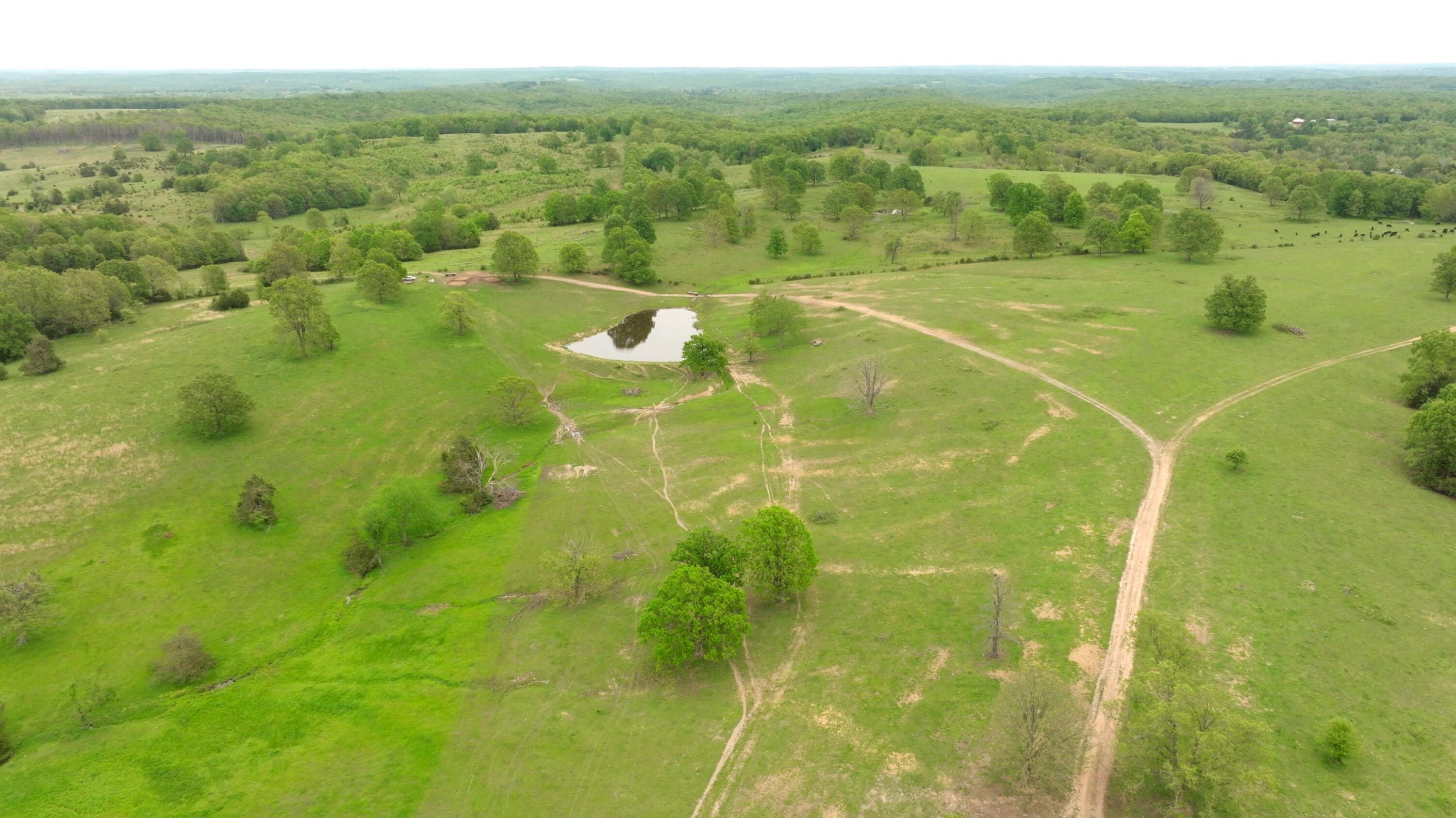 property viewer photo 34