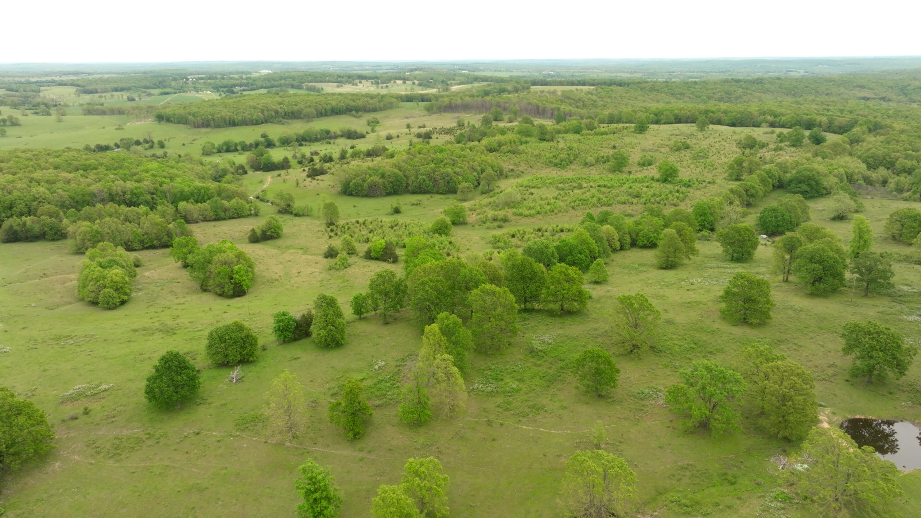 property viewer photo 36