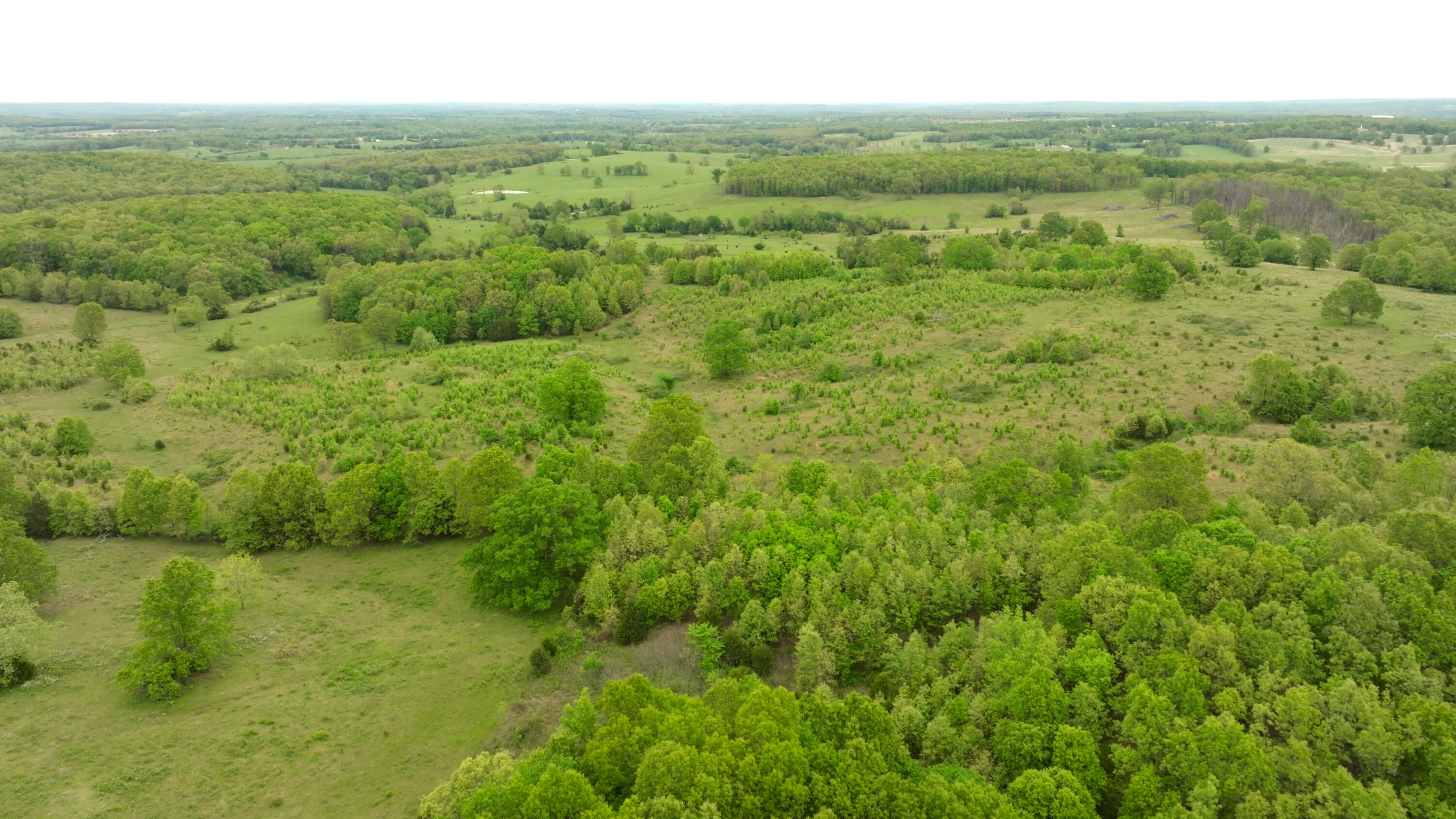 property viewer photo 37