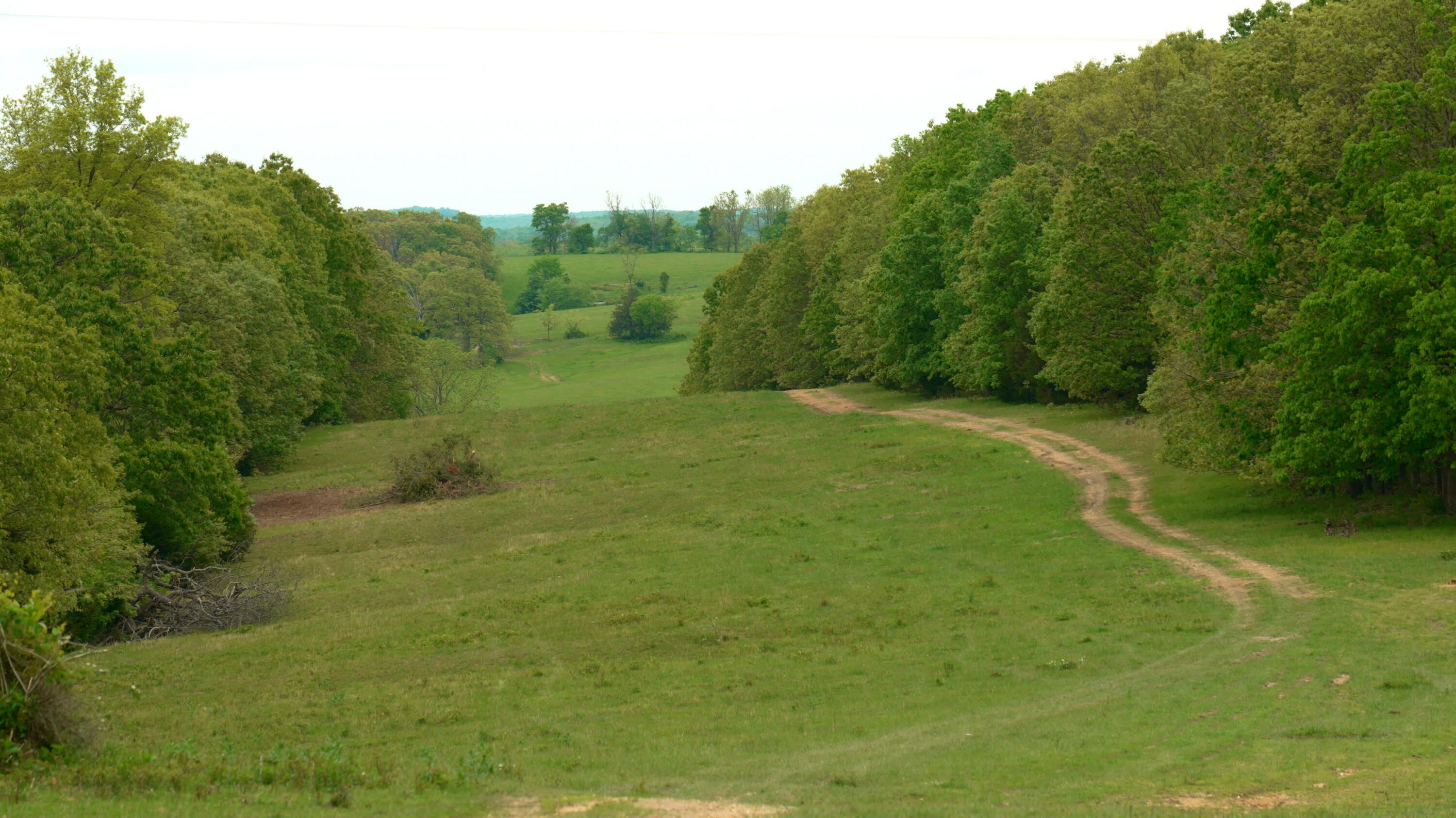 property viewer photo 4