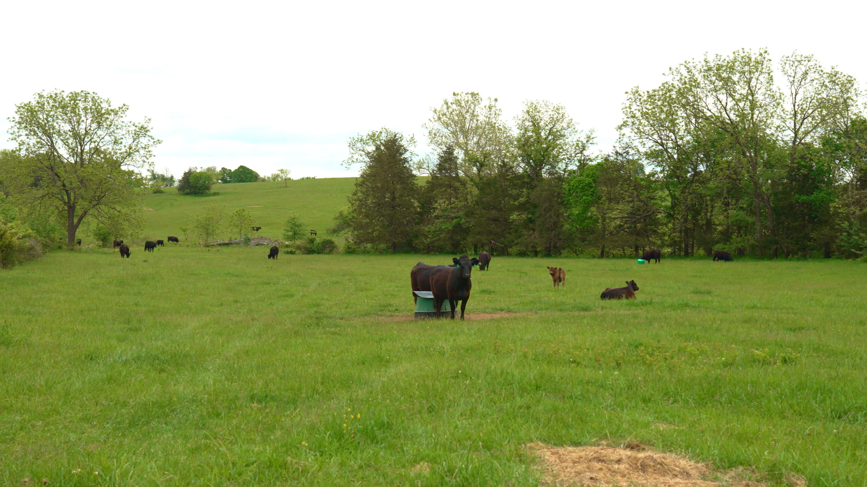 property viewer photo 7