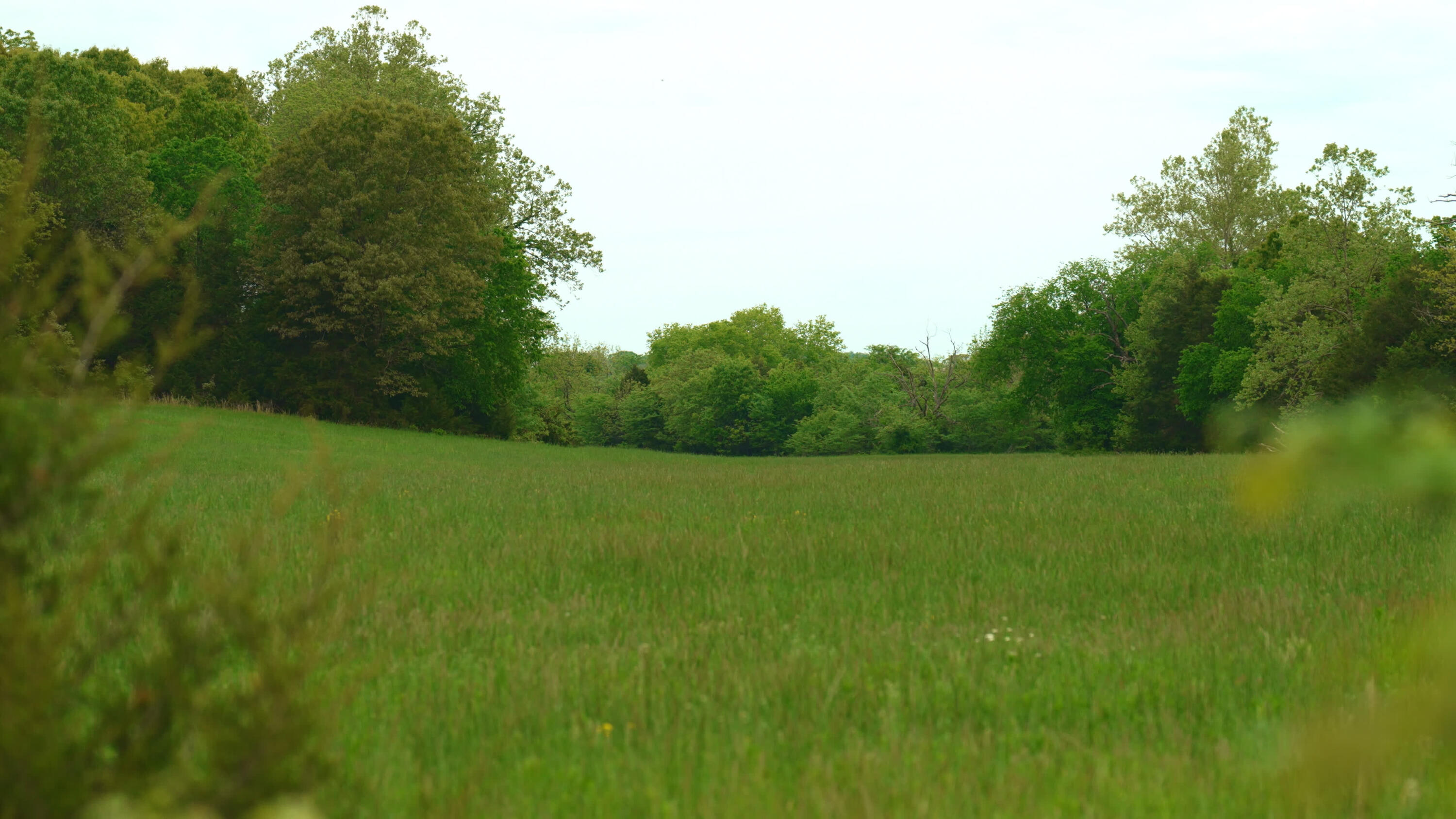 property viewer photo 9