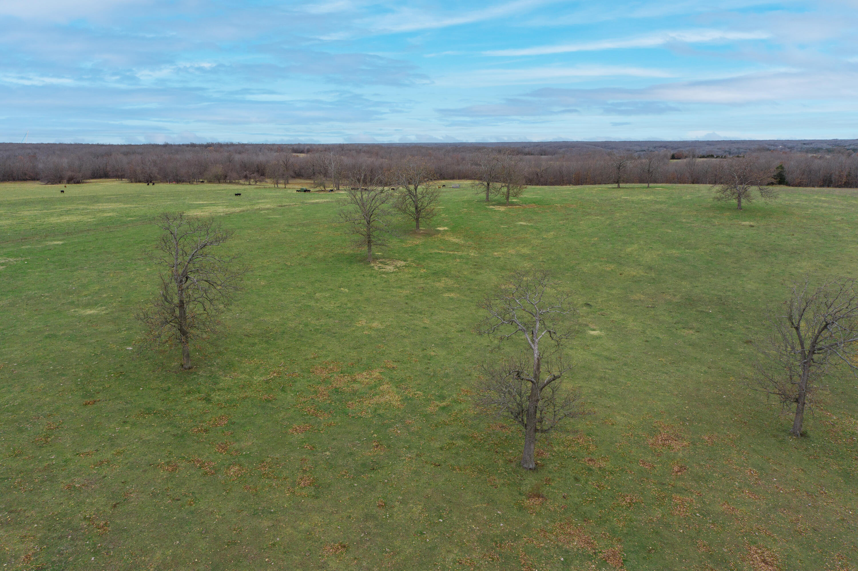 main property photo 83