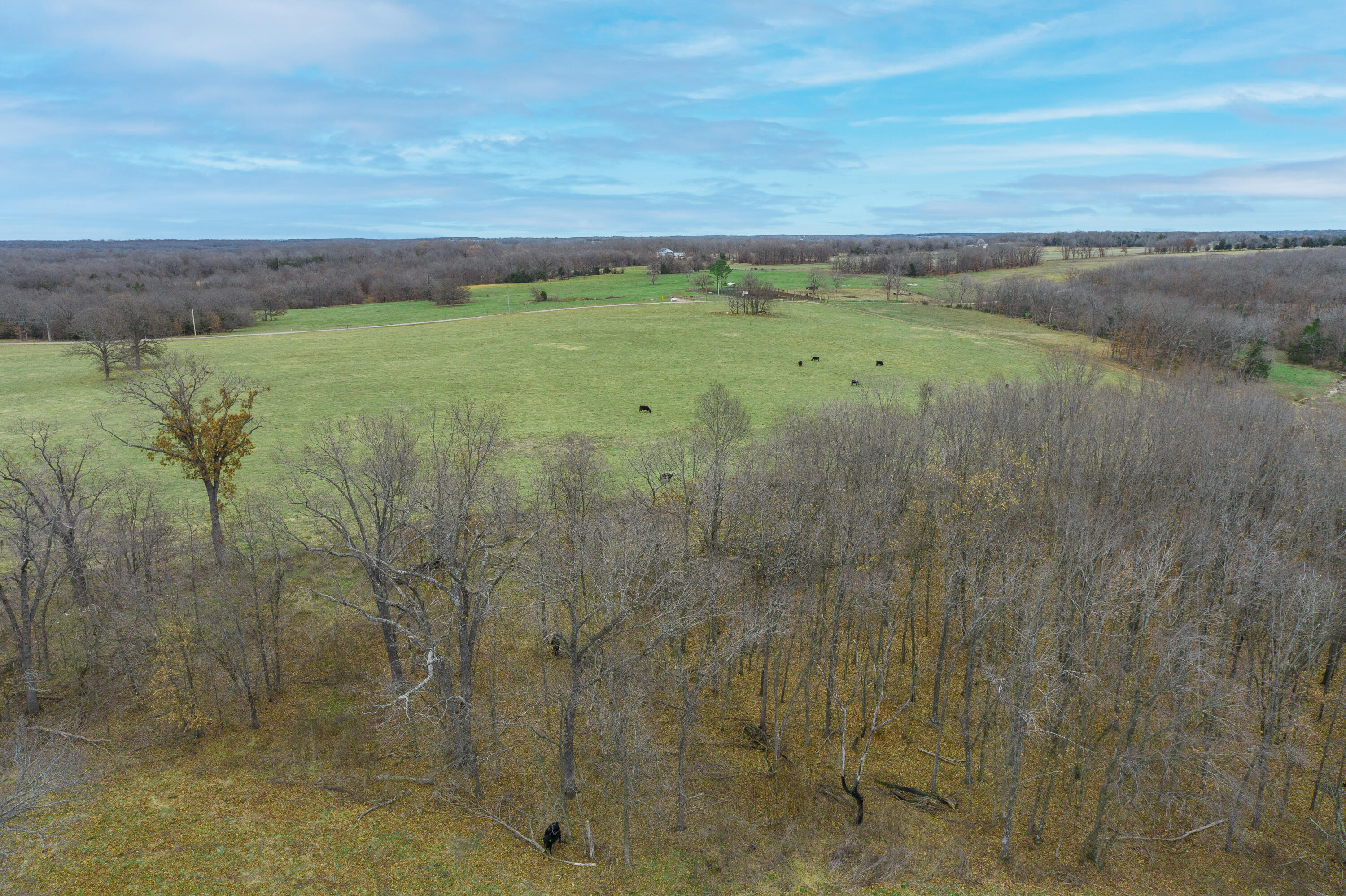 main property photo 90