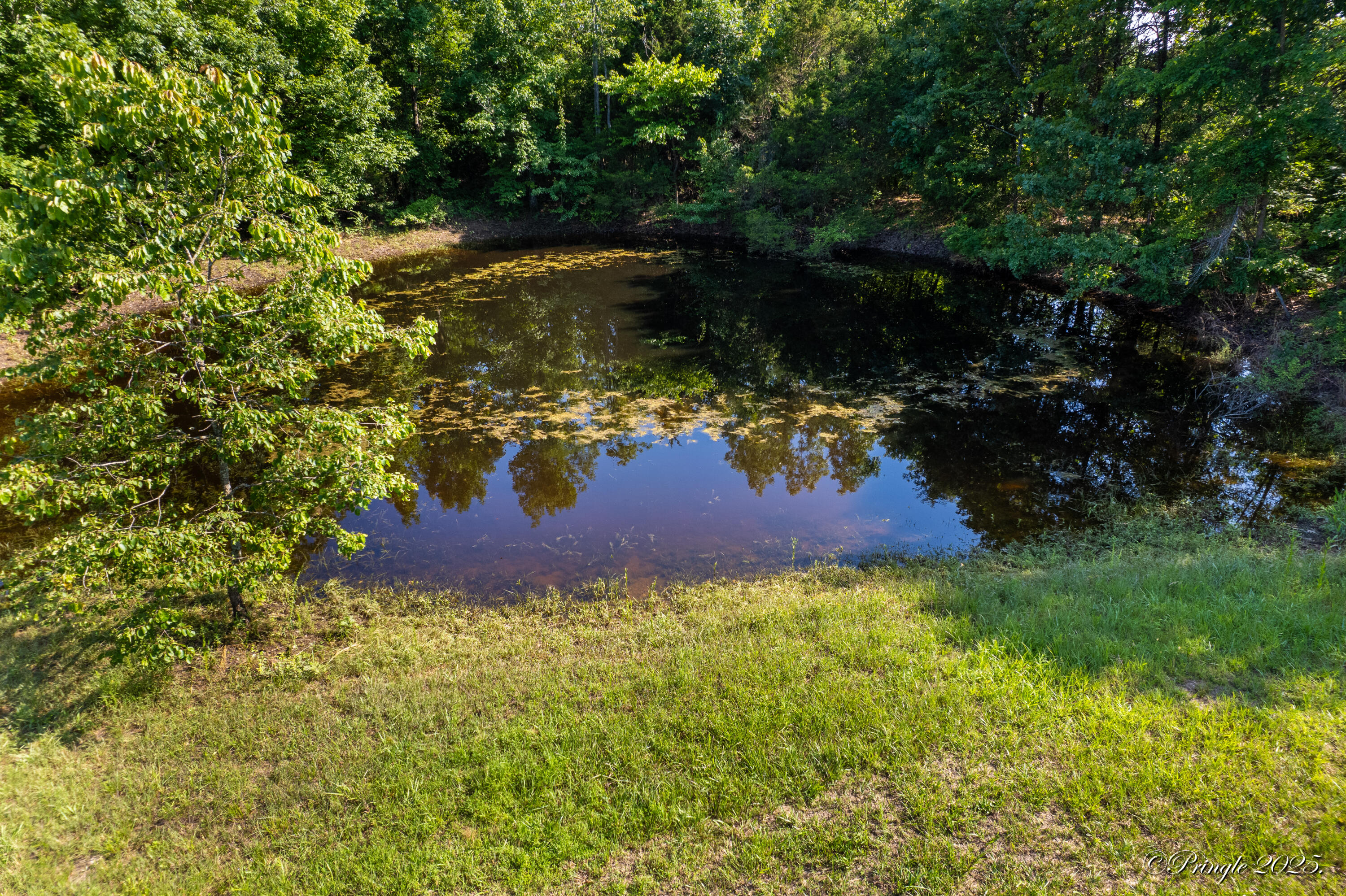property viewer photo 38