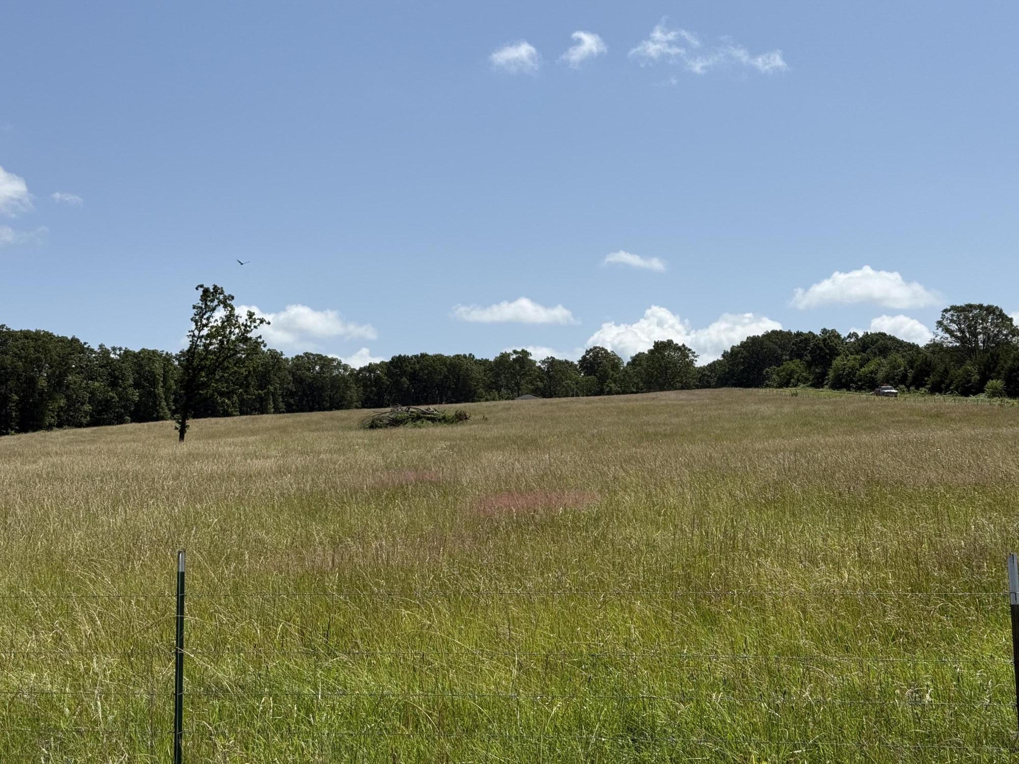 property viewer photo 1