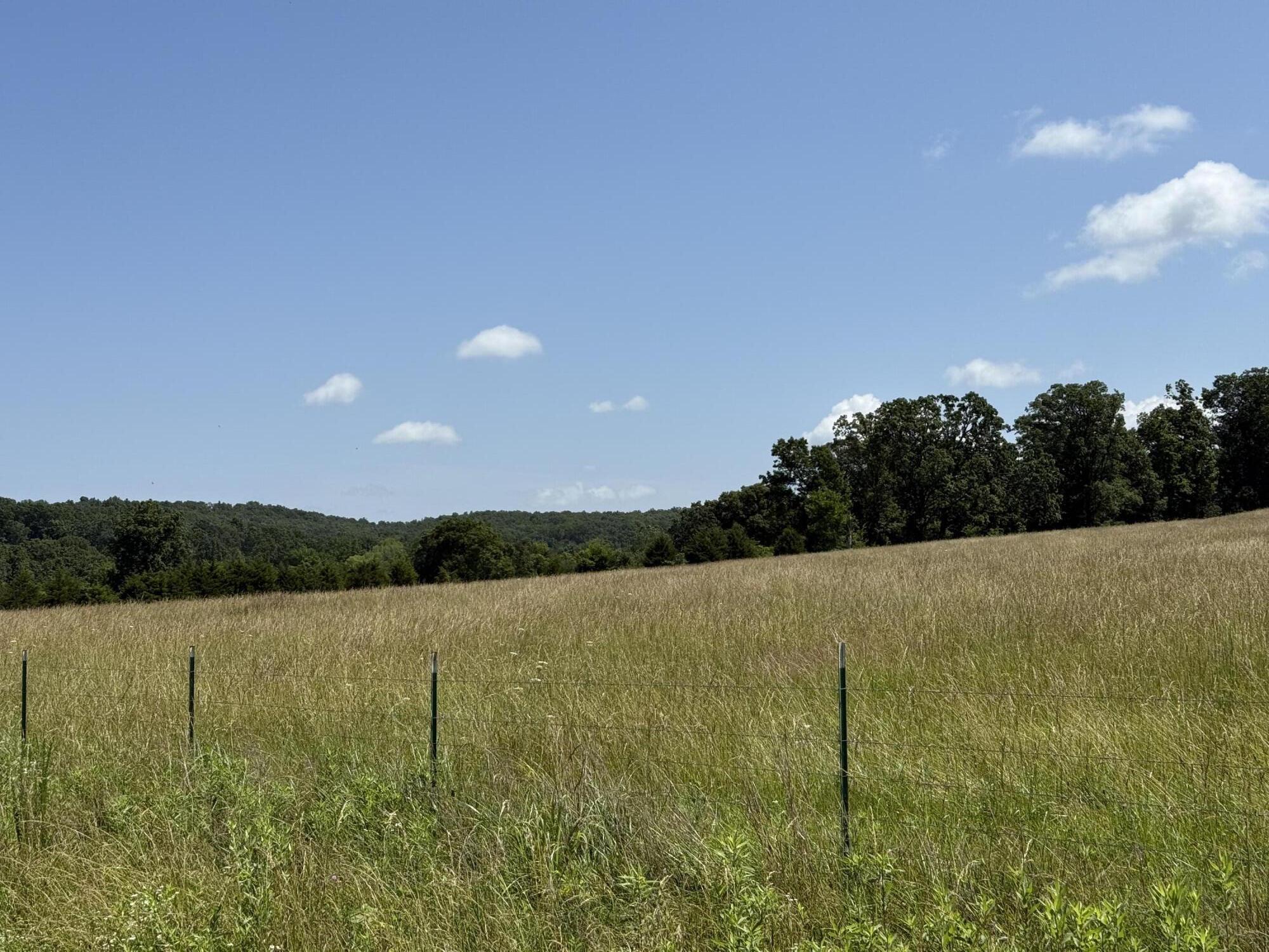 property viewer photo 2