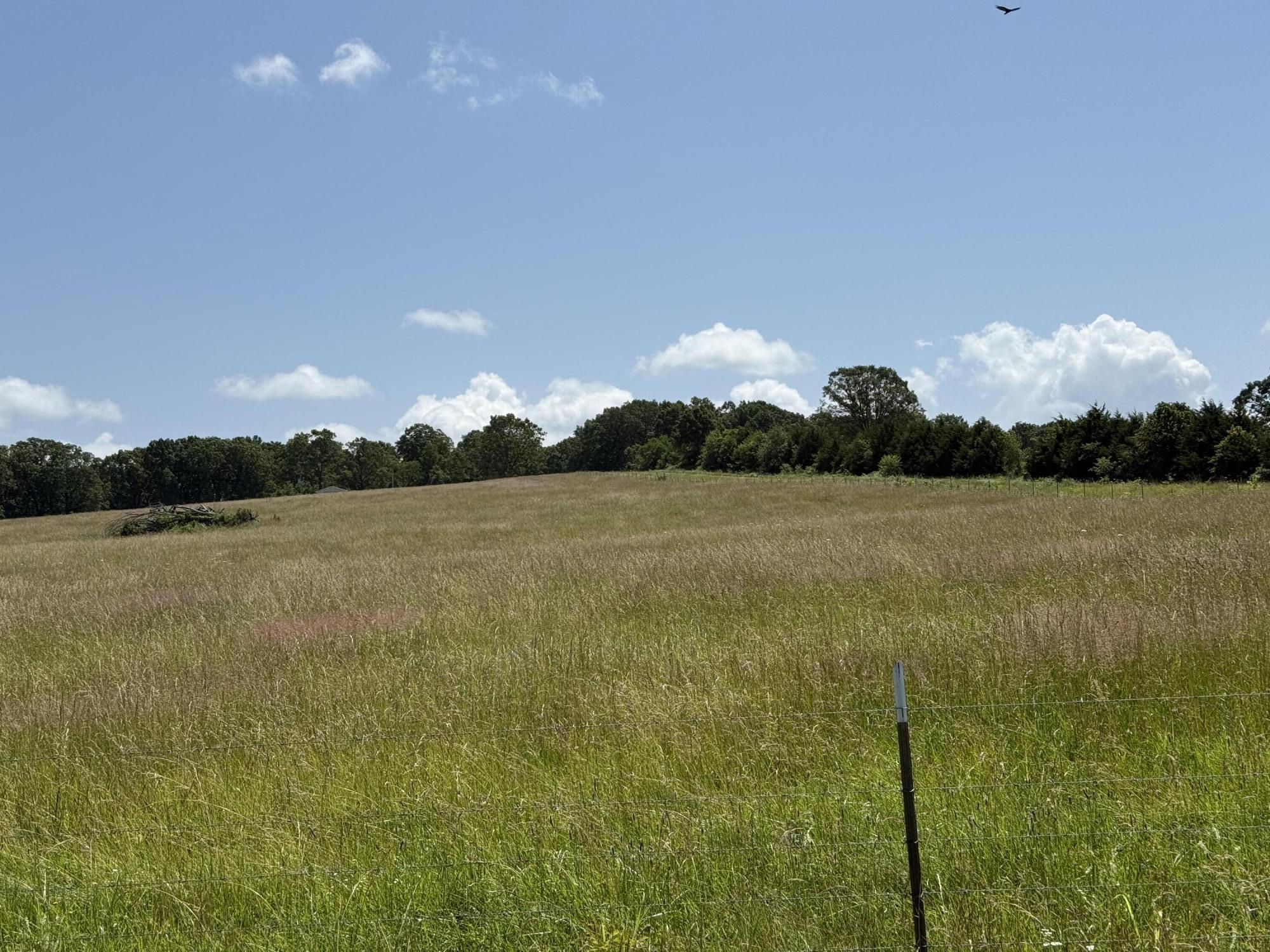 property viewer photo 3