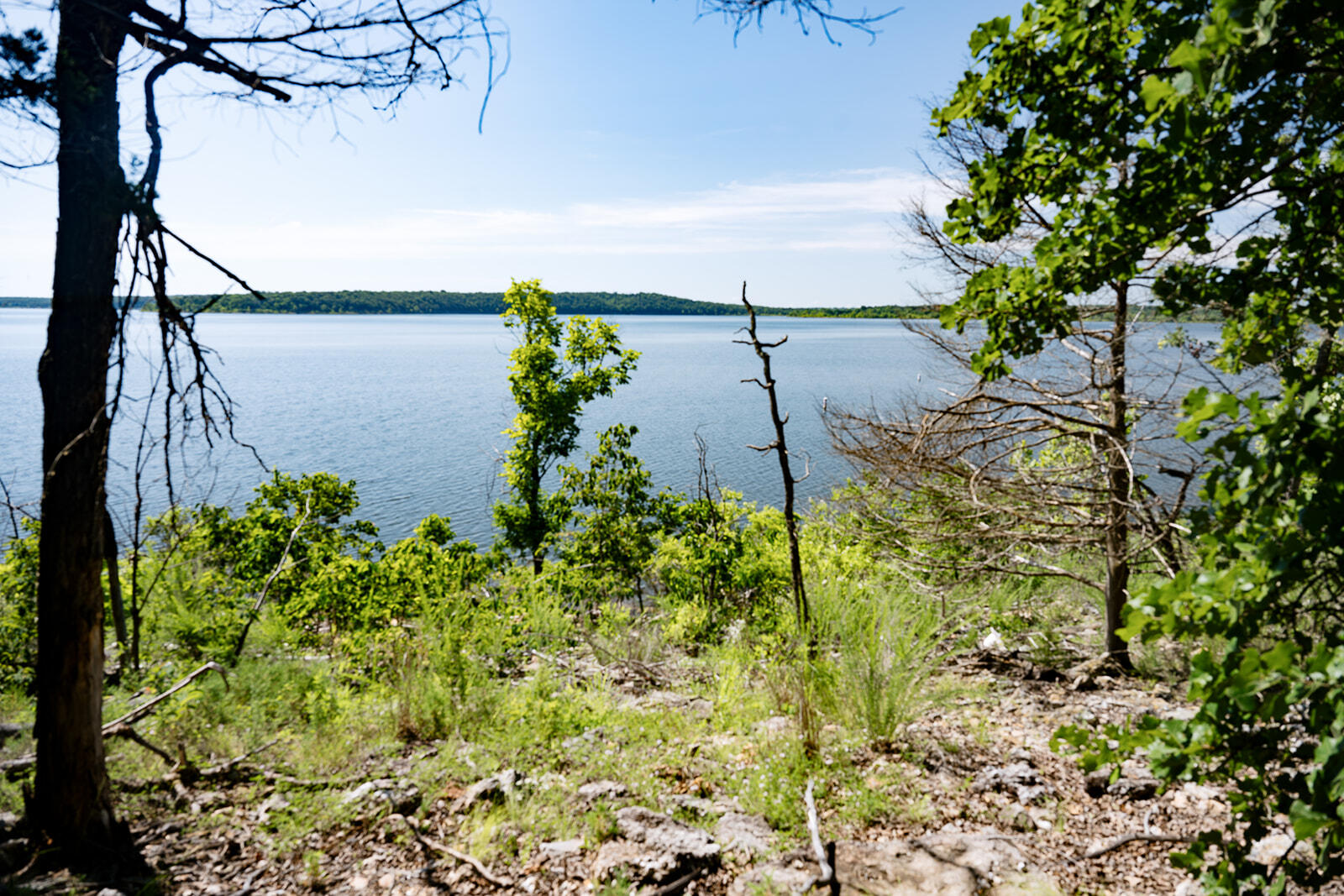 property viewer photo 70