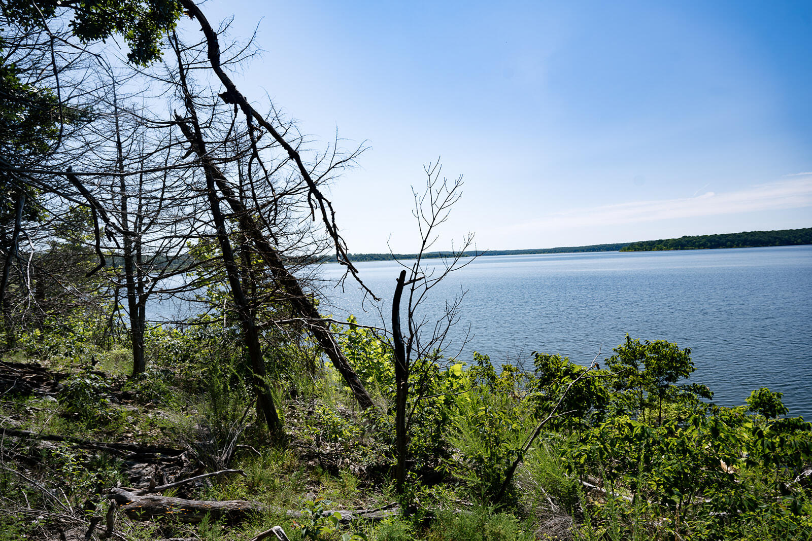 property viewer photo 8