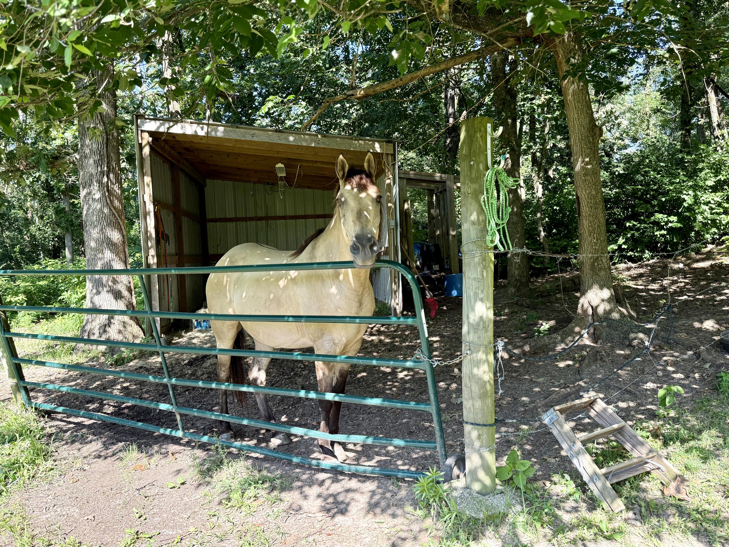 property viewer photo 8
