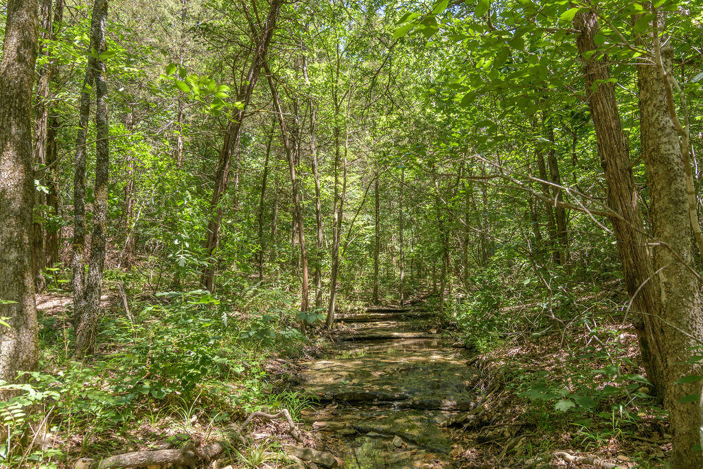 main property photo 71