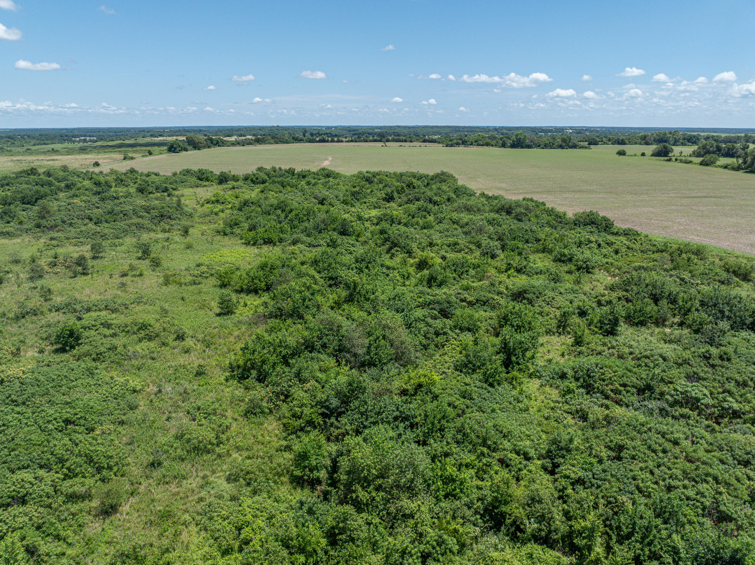 main property photo 64