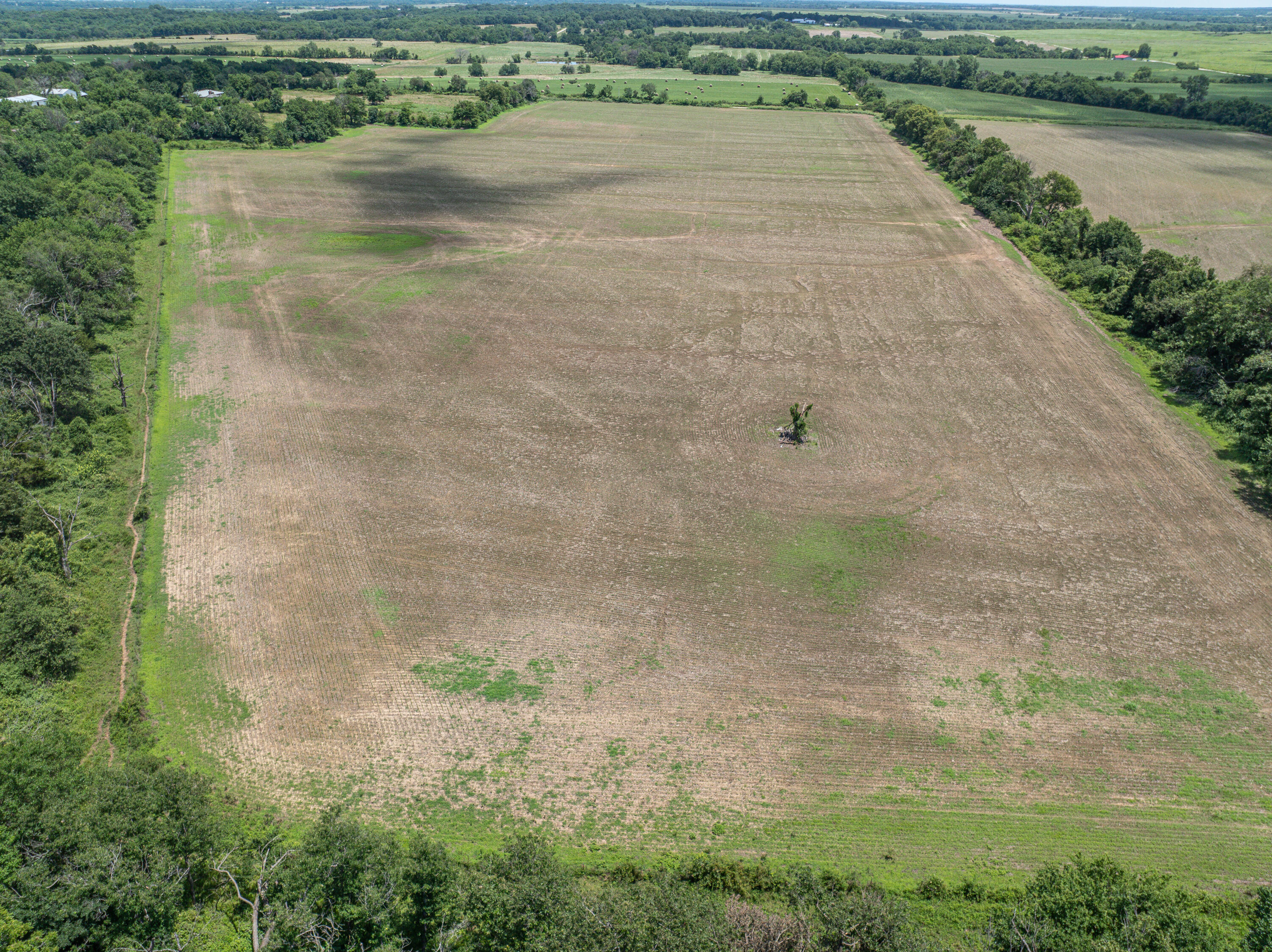 main property photo 81