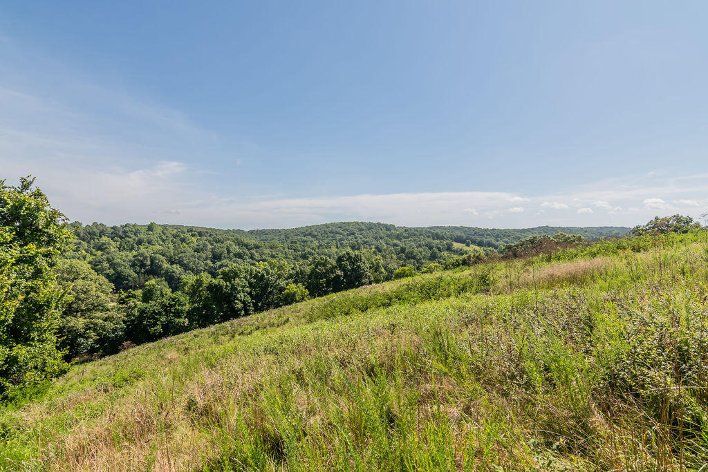 main property photo 60