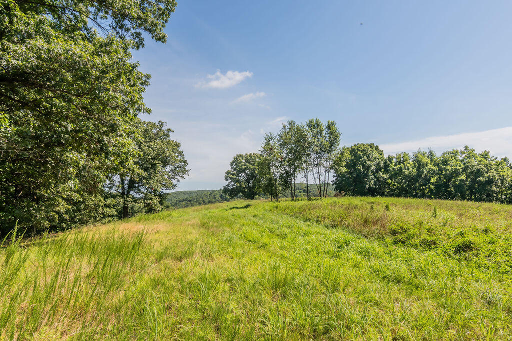 main property photo 63