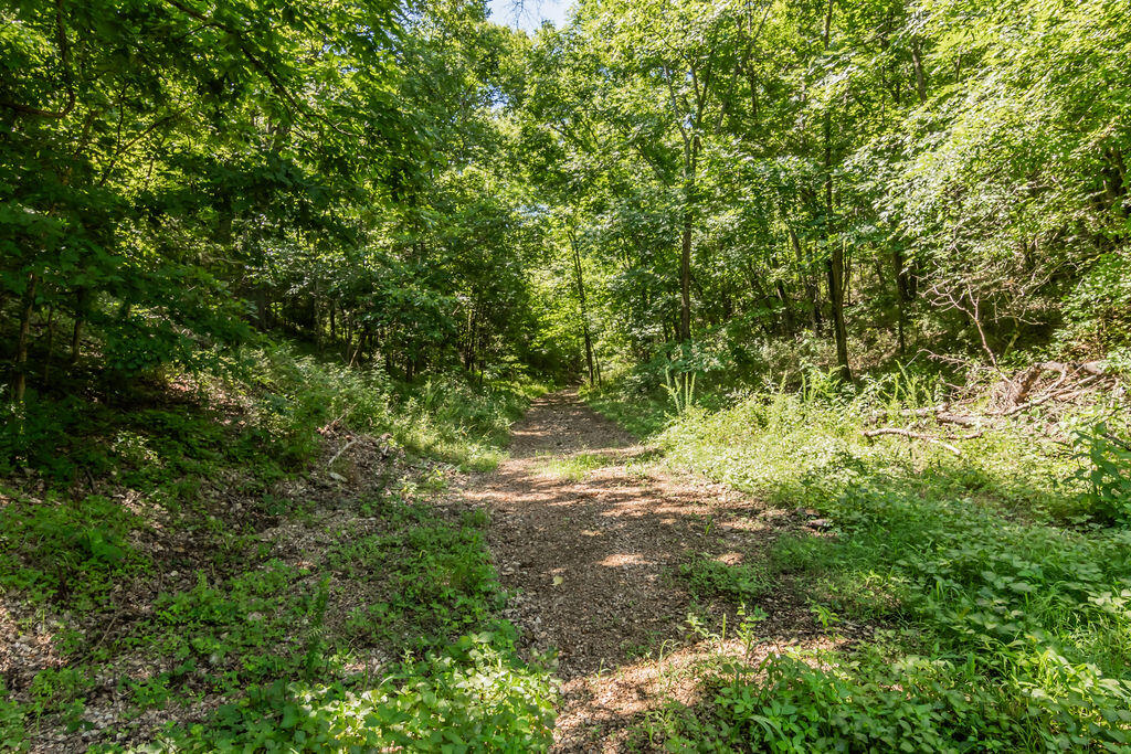 main property photo 68
