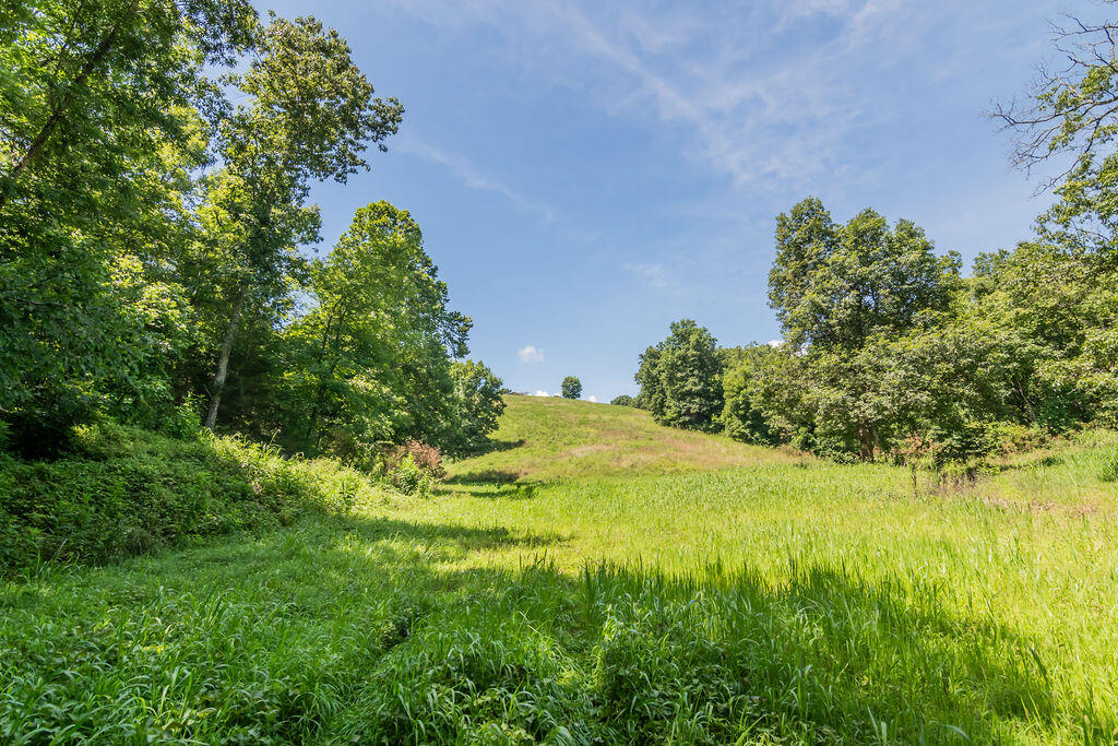 main property photo 71