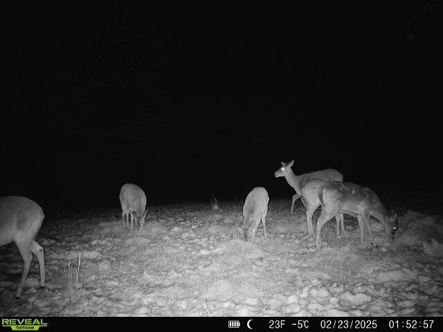 main property photo 76