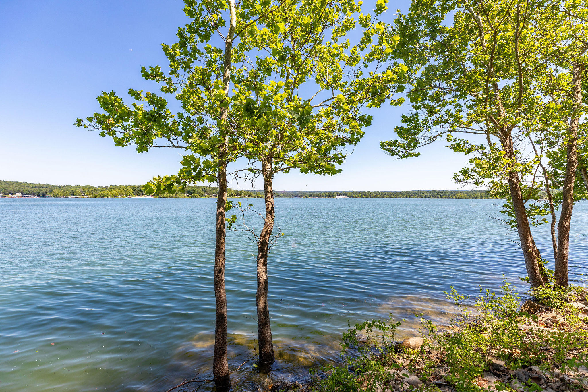 property viewer photo 62