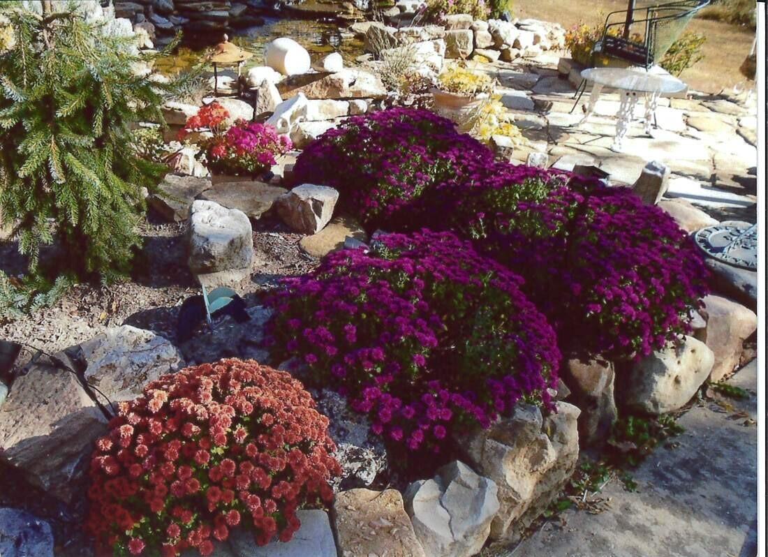 property viewer photo 46