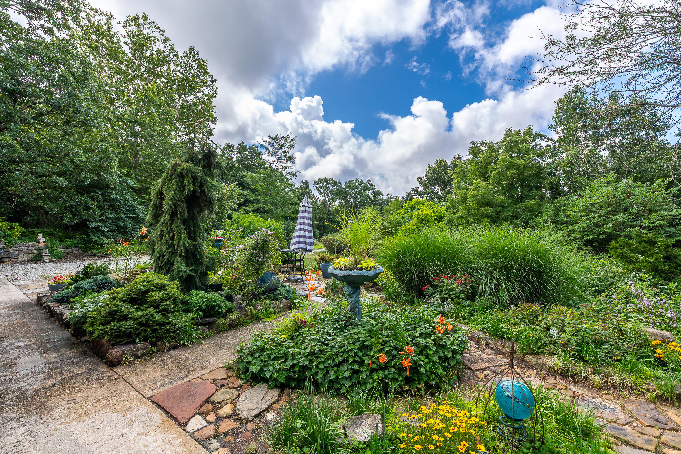 property viewer photo 50