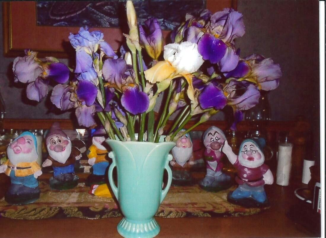 property viewer photo 9