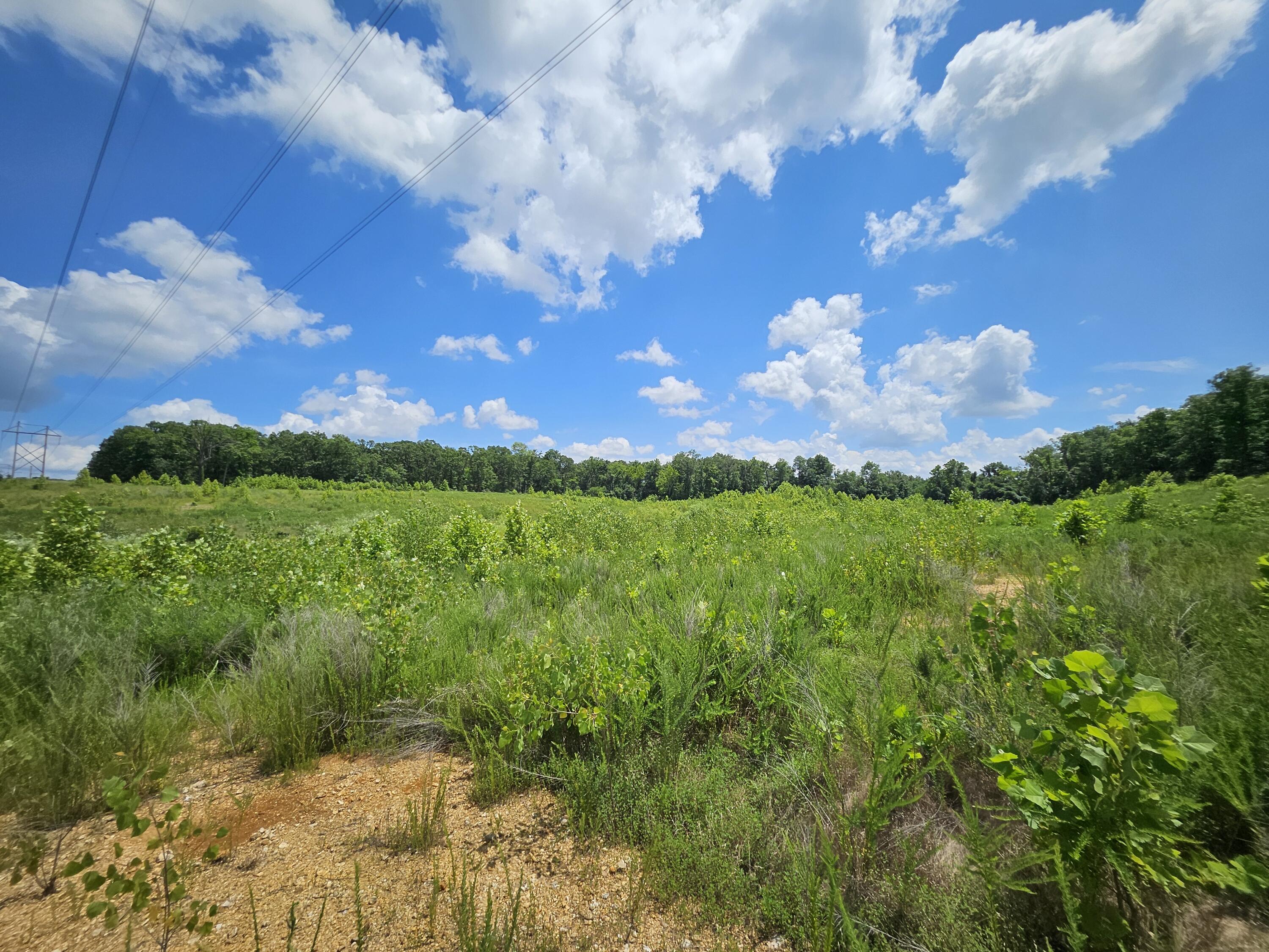 main property photo 12